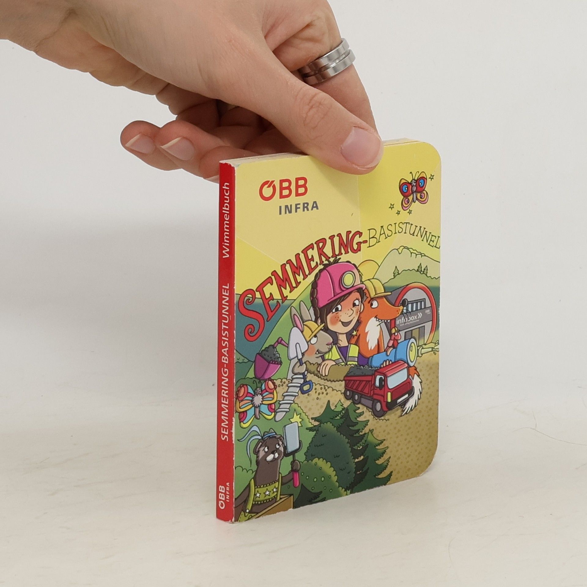 Collectif d'auteurs Semmering-Basistunnel