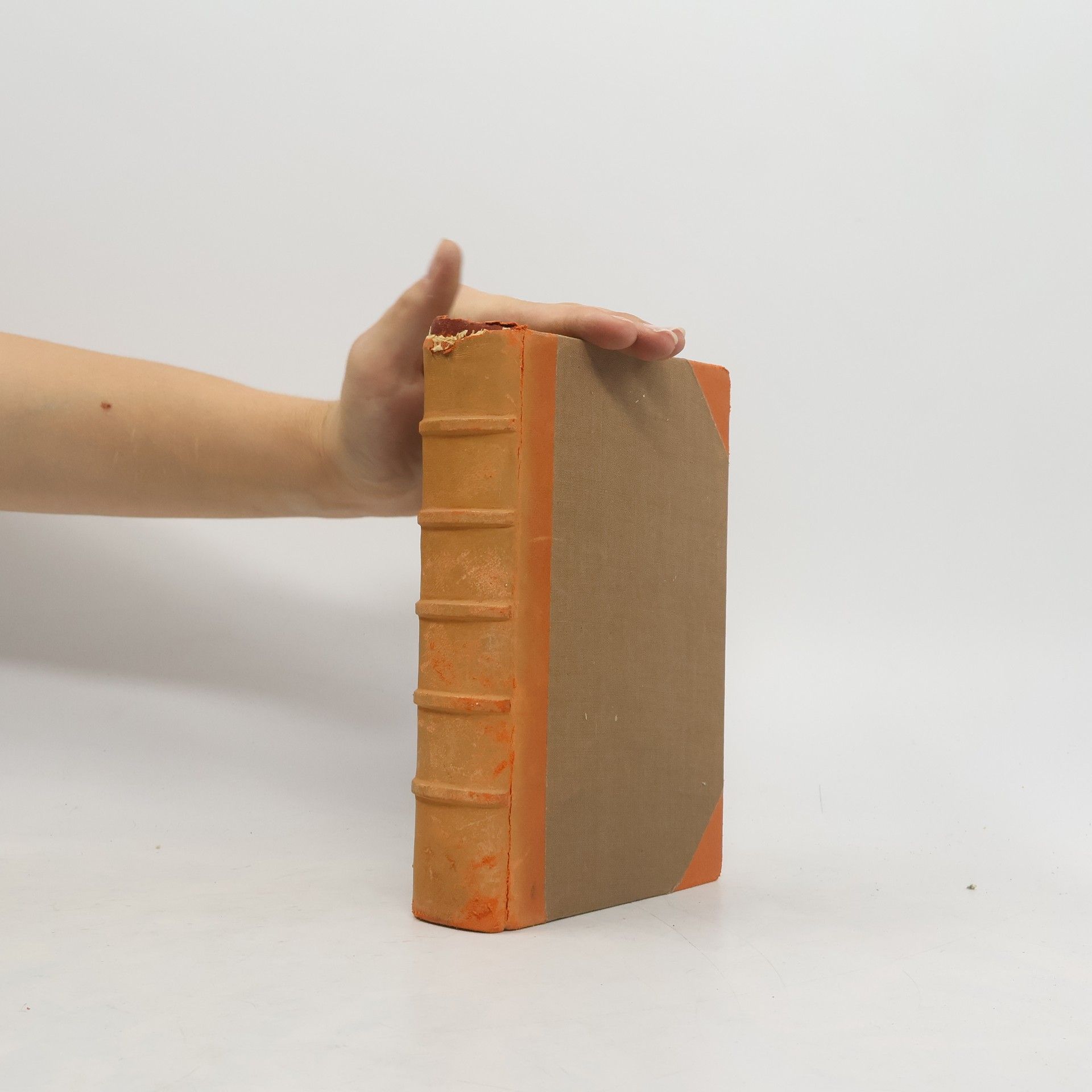 Léta devadesátá : příběh ze zlatých polí