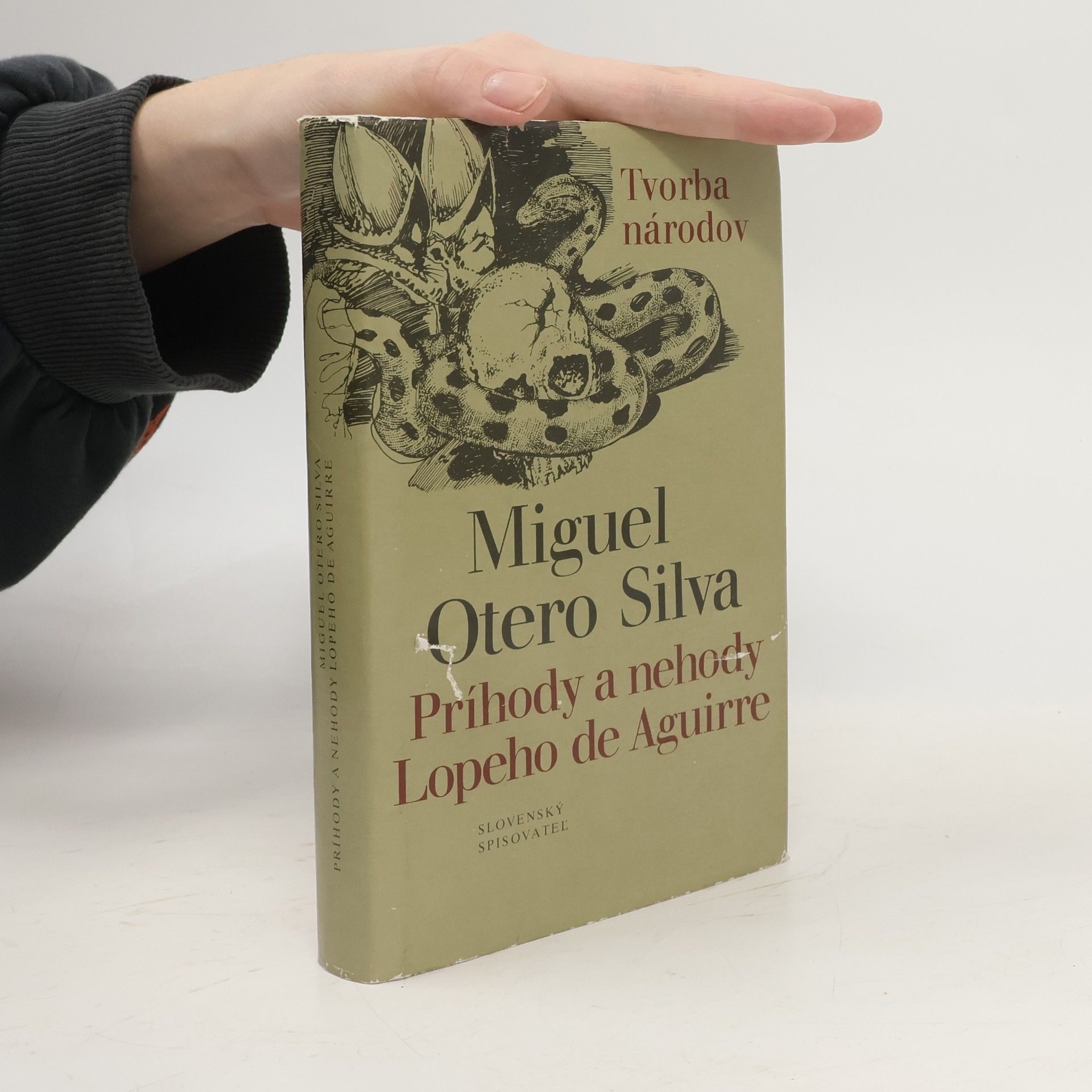 Príhody a nehody Lopeho de Aguirre