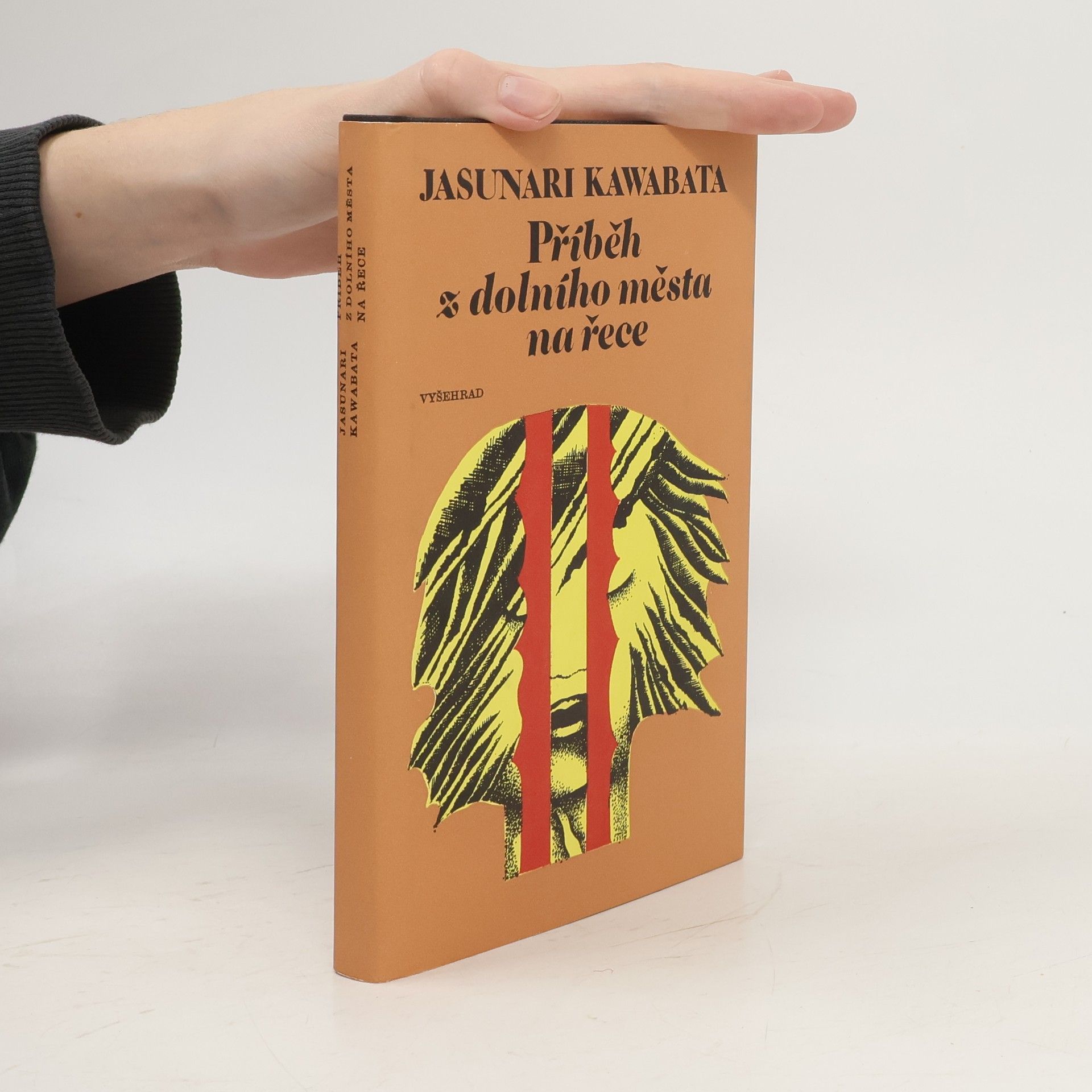 Příběh z dolního města na řece