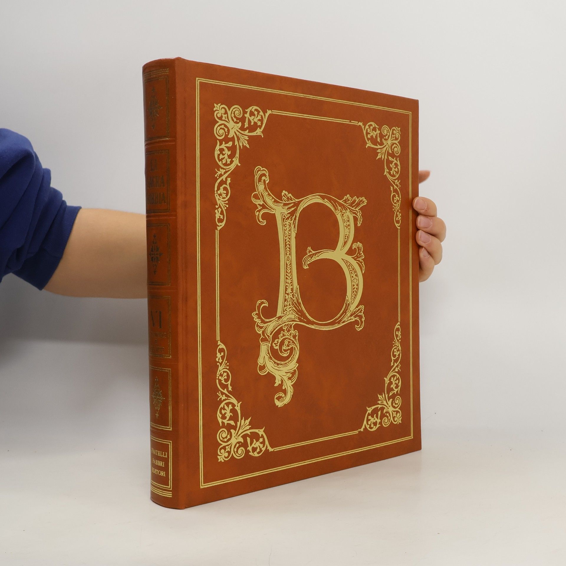 AA.VV. La Sacra Bibbia, Volume VI