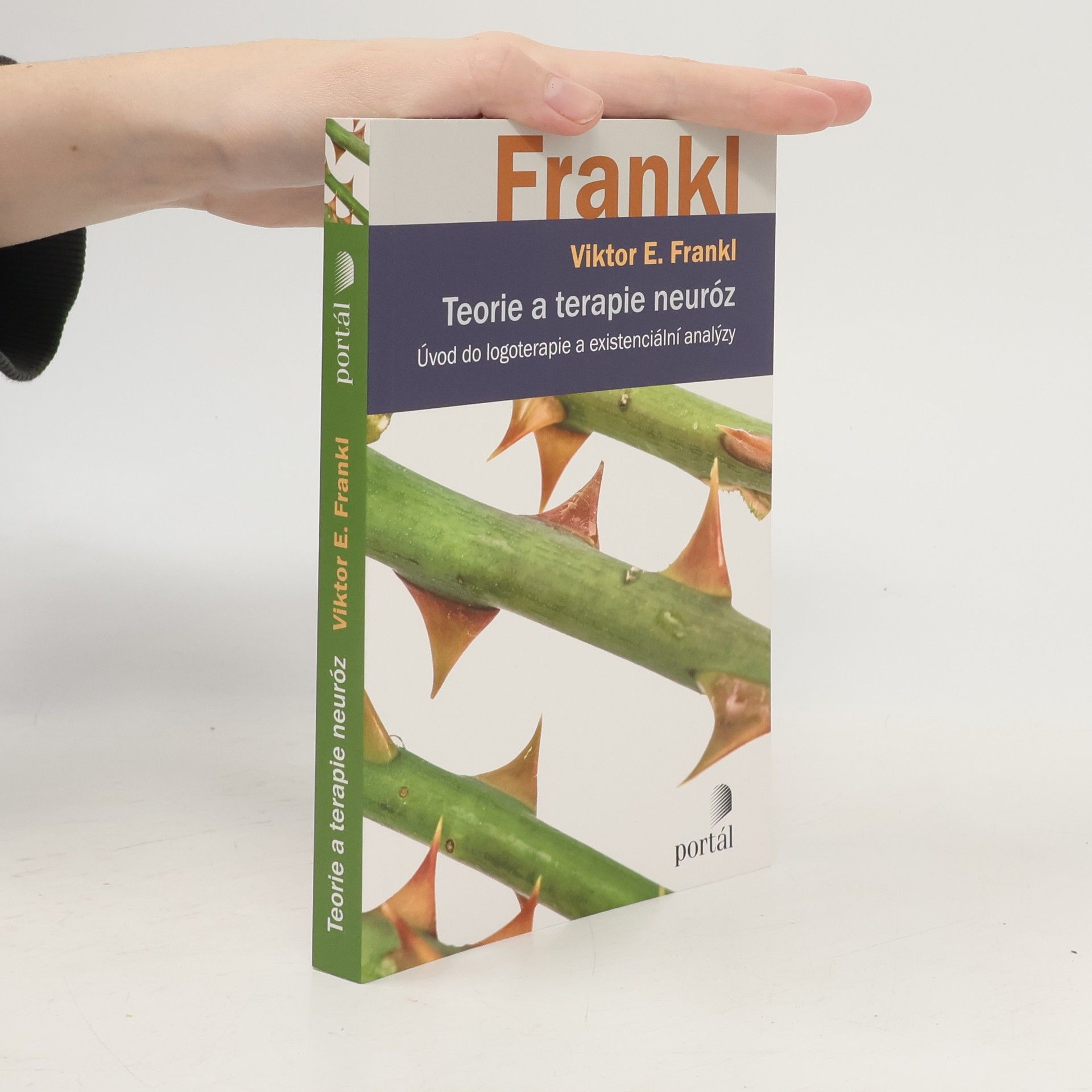 Teorie a terapie neuróz