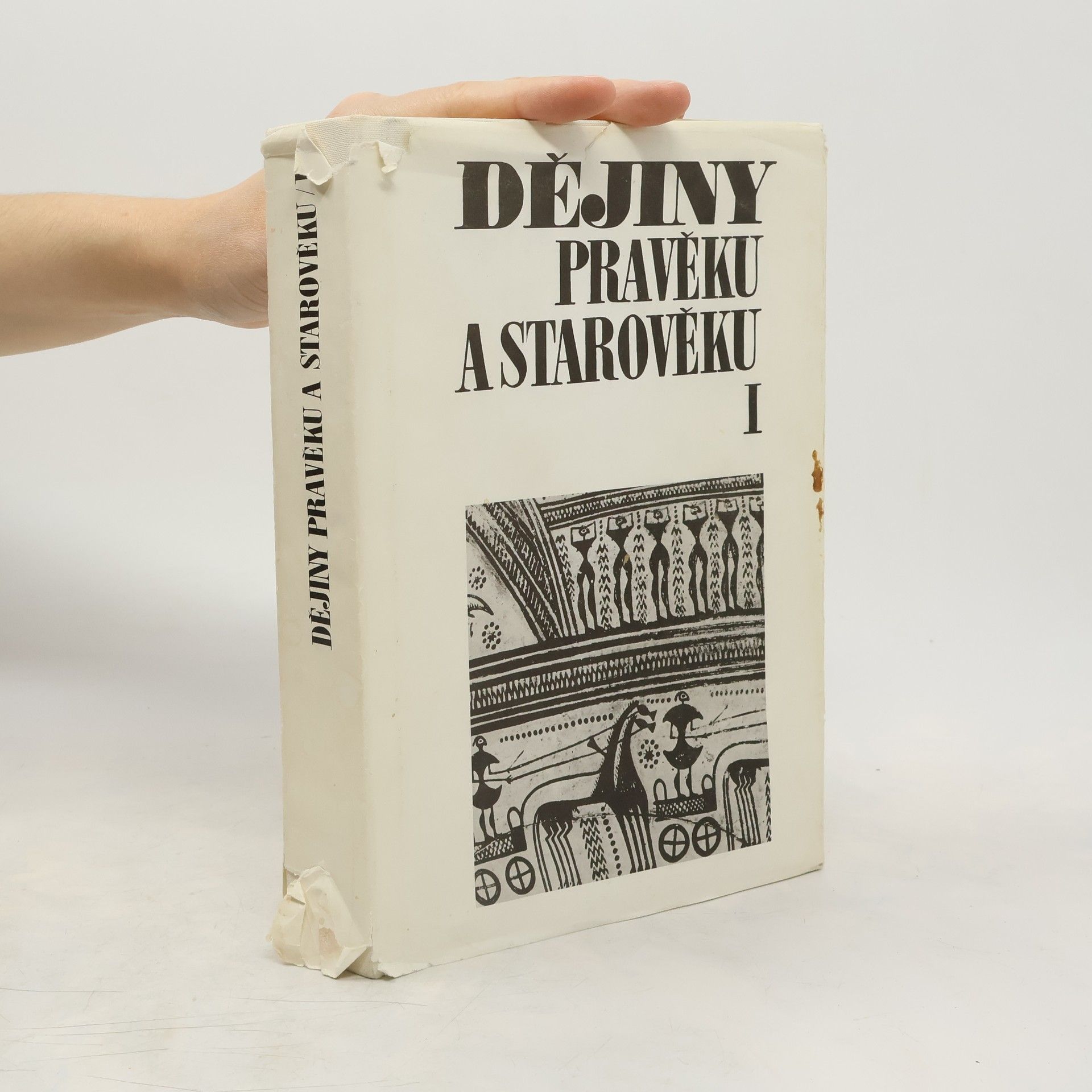 Kolektív autorov Dějiny pravěku a starověku I.