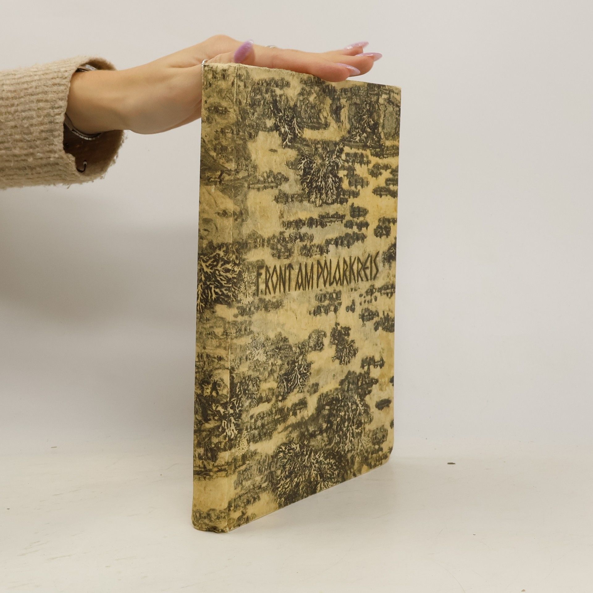 Ulrich Majewski Front am polarkreis