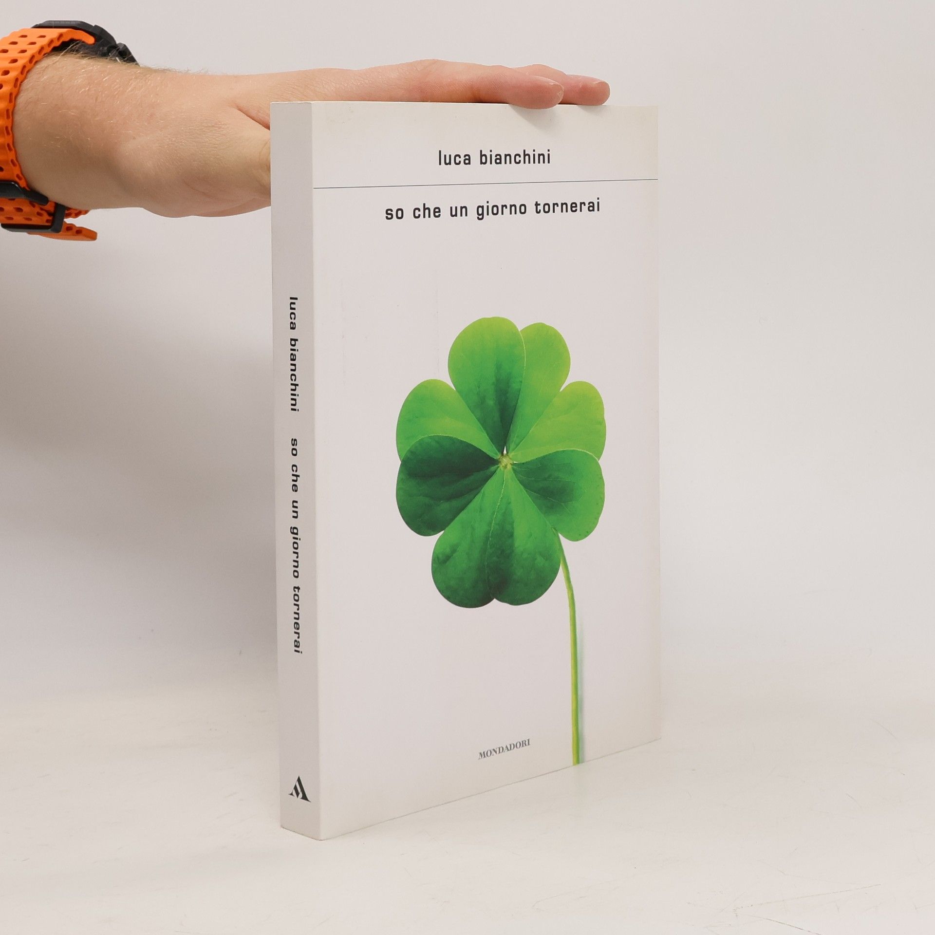 Luca Bianchini So che un giorno tornerai