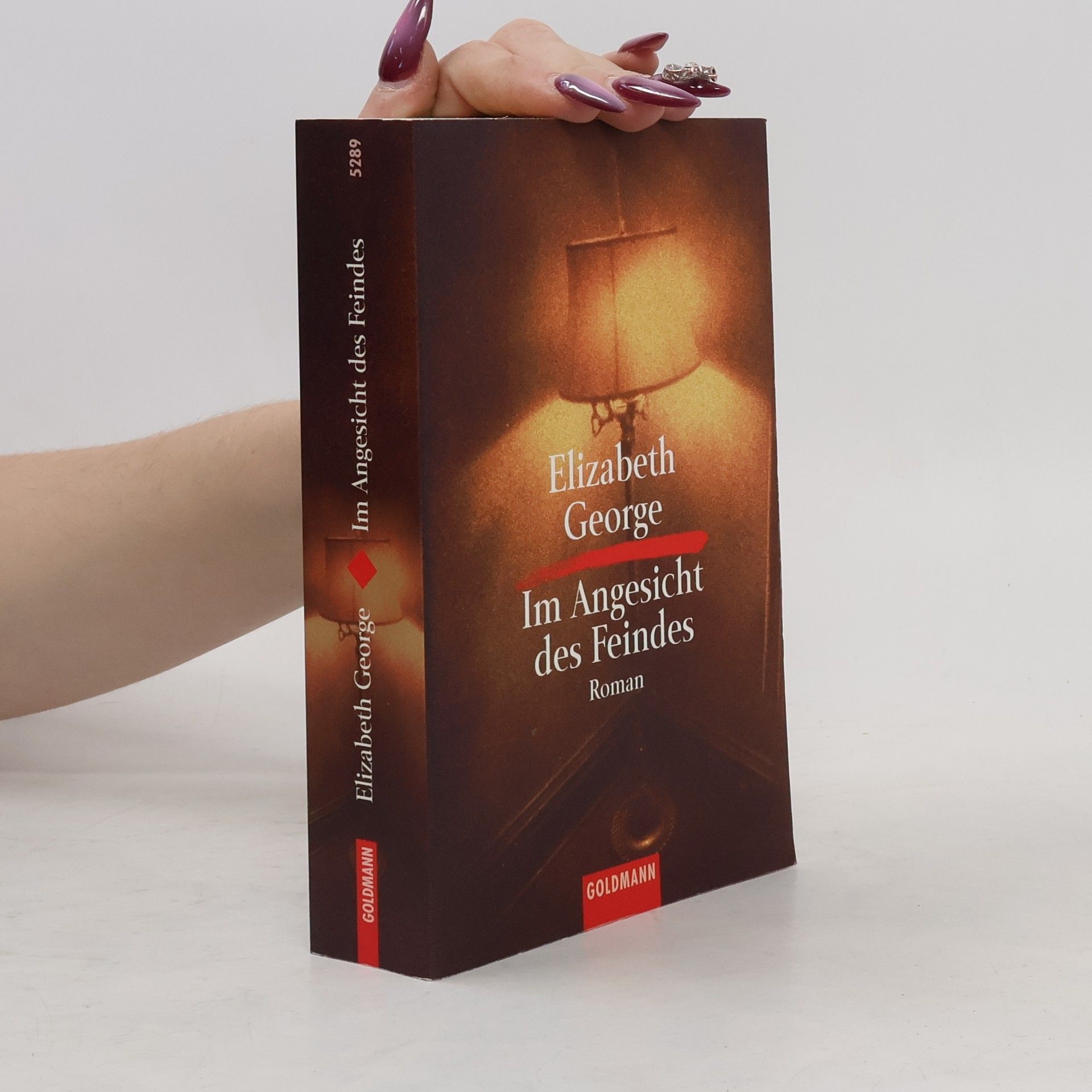 Elizabeth George Im Angesicht des Feindes