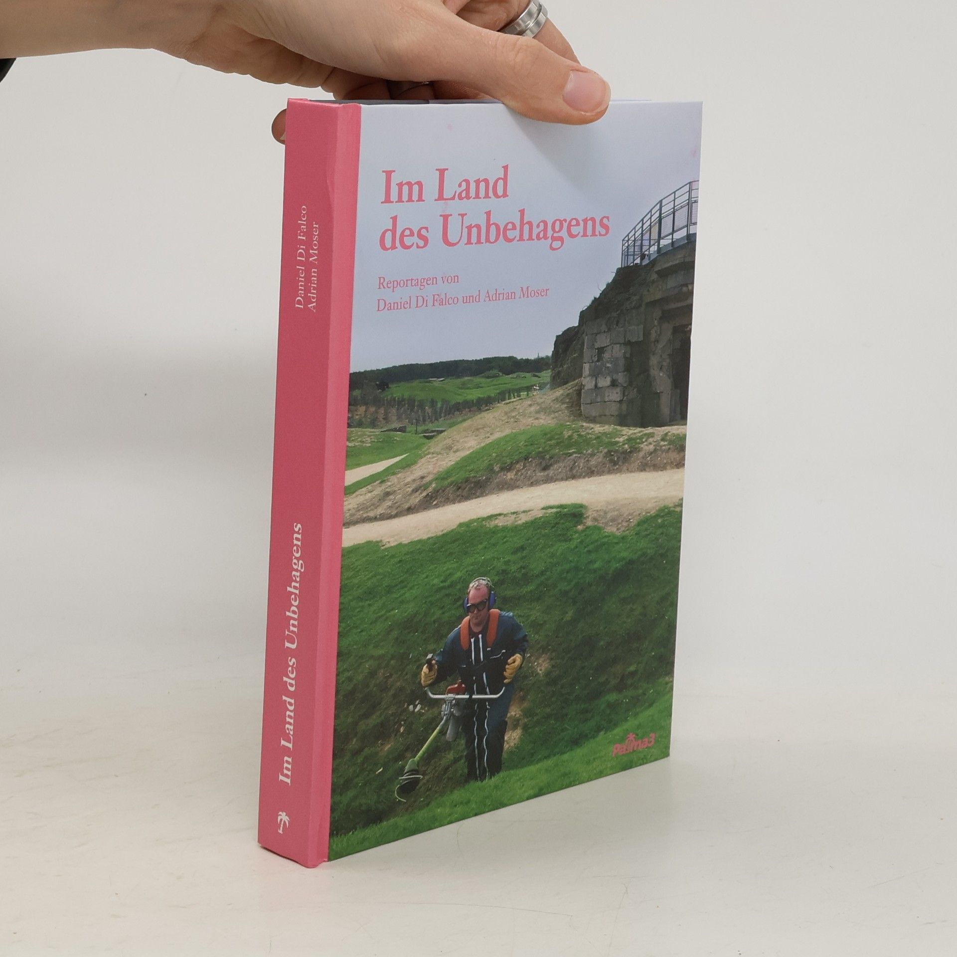 Daniel Di Falco Im Land des Unbehagens