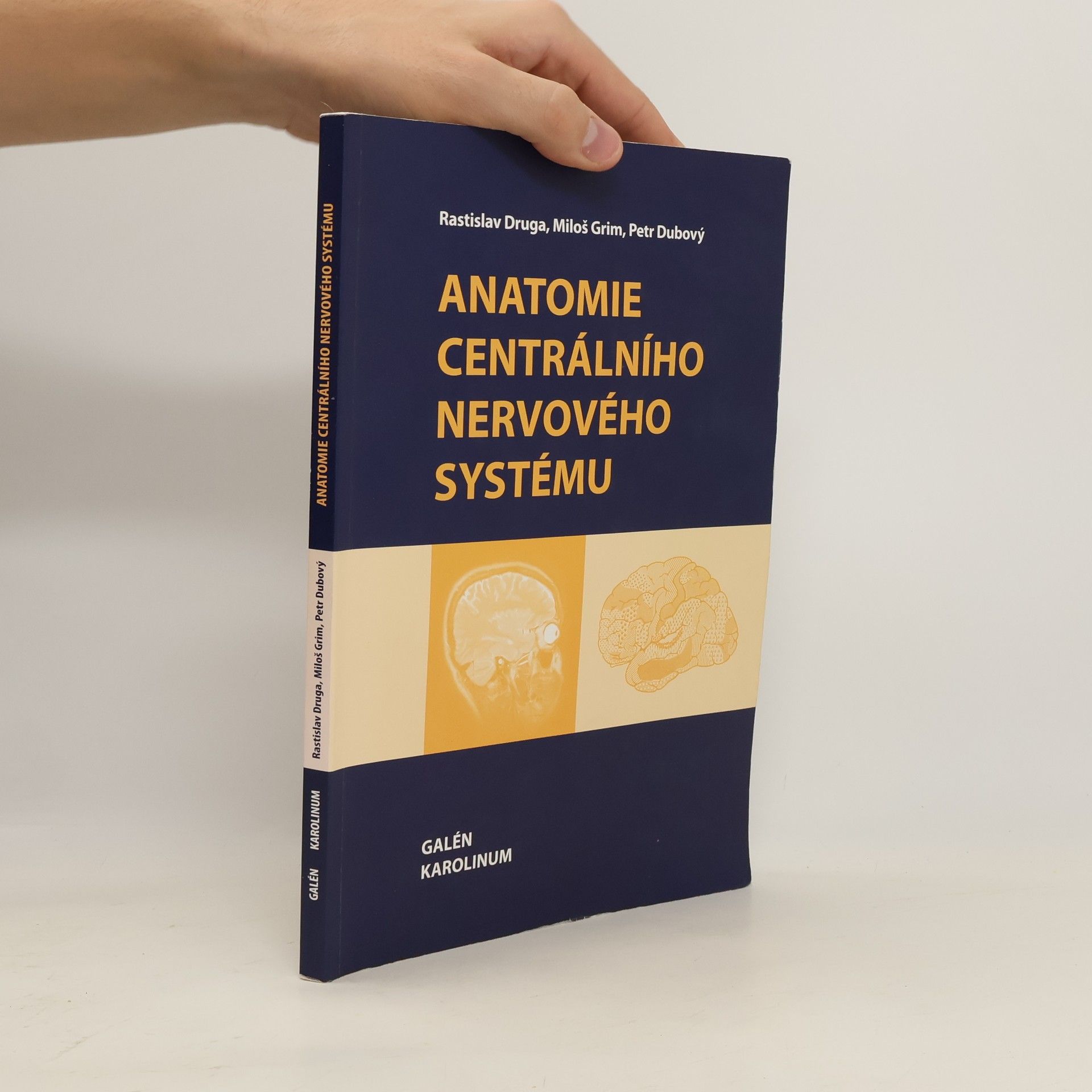 Anatomie centrálního nervového systému