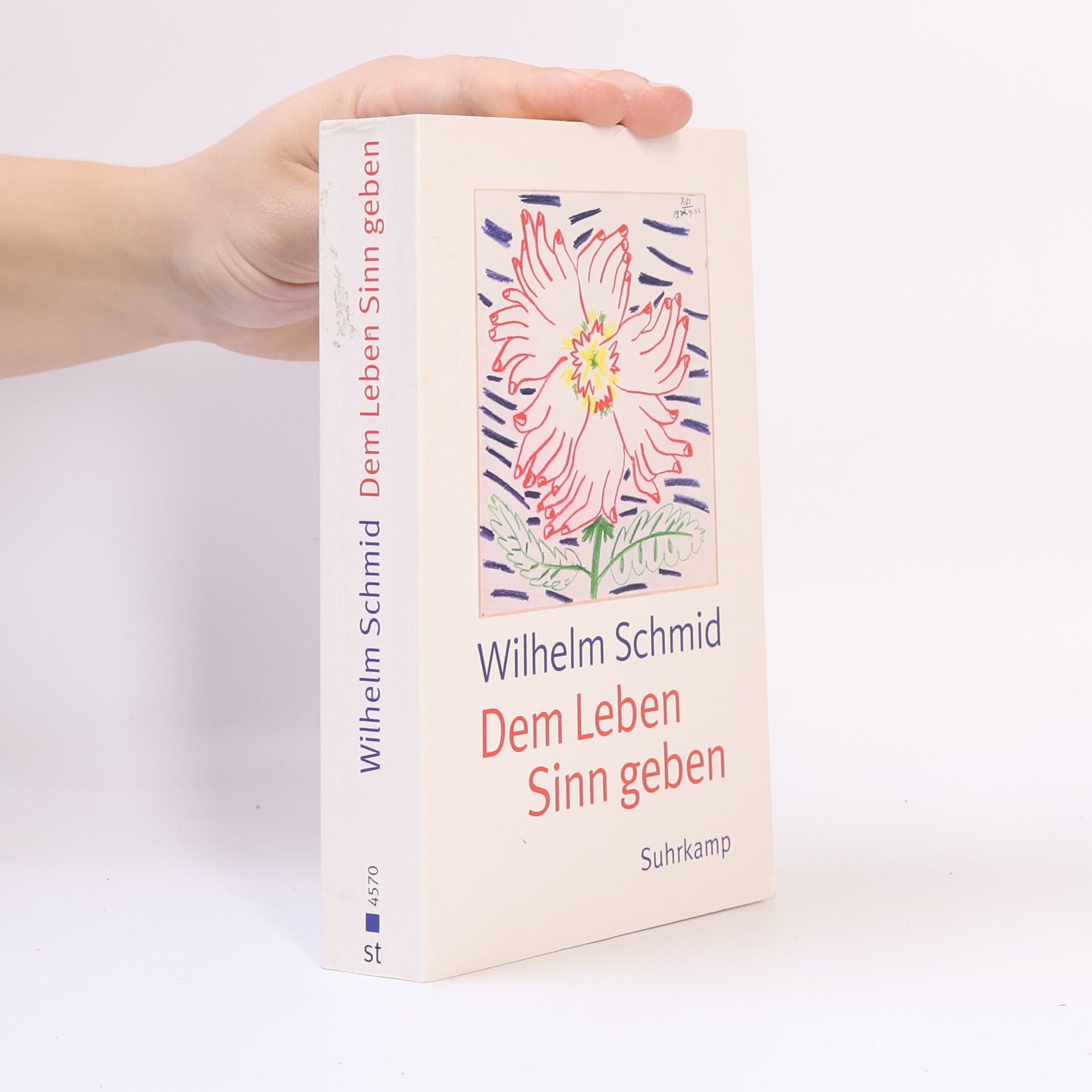 Wilhelm Schmidt-Thomé Dem Leben Sinn geben