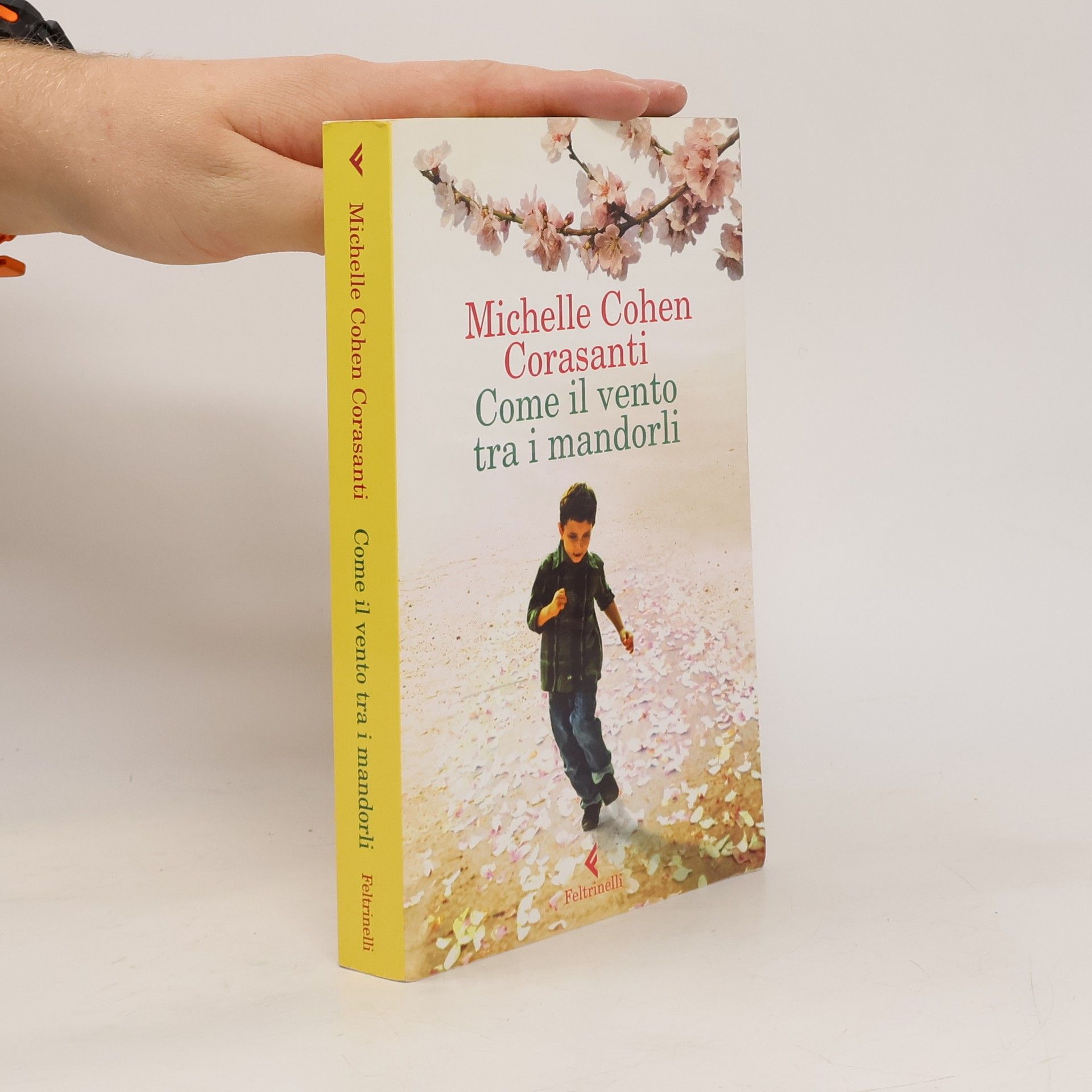 Michelle Cohen Corasanti Come il vento tra i mandorli