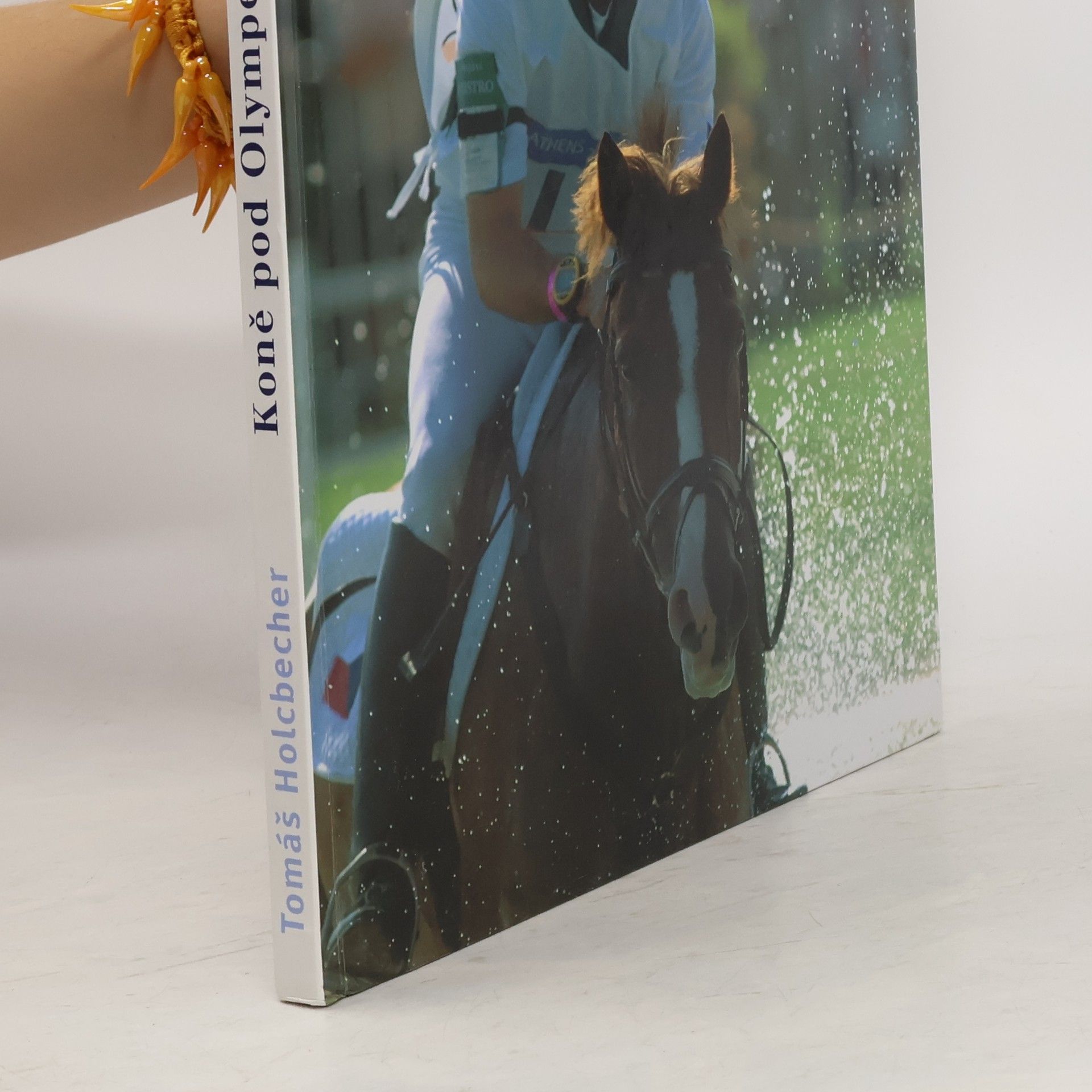Tomáš Holcbecher Koně pod Olympem