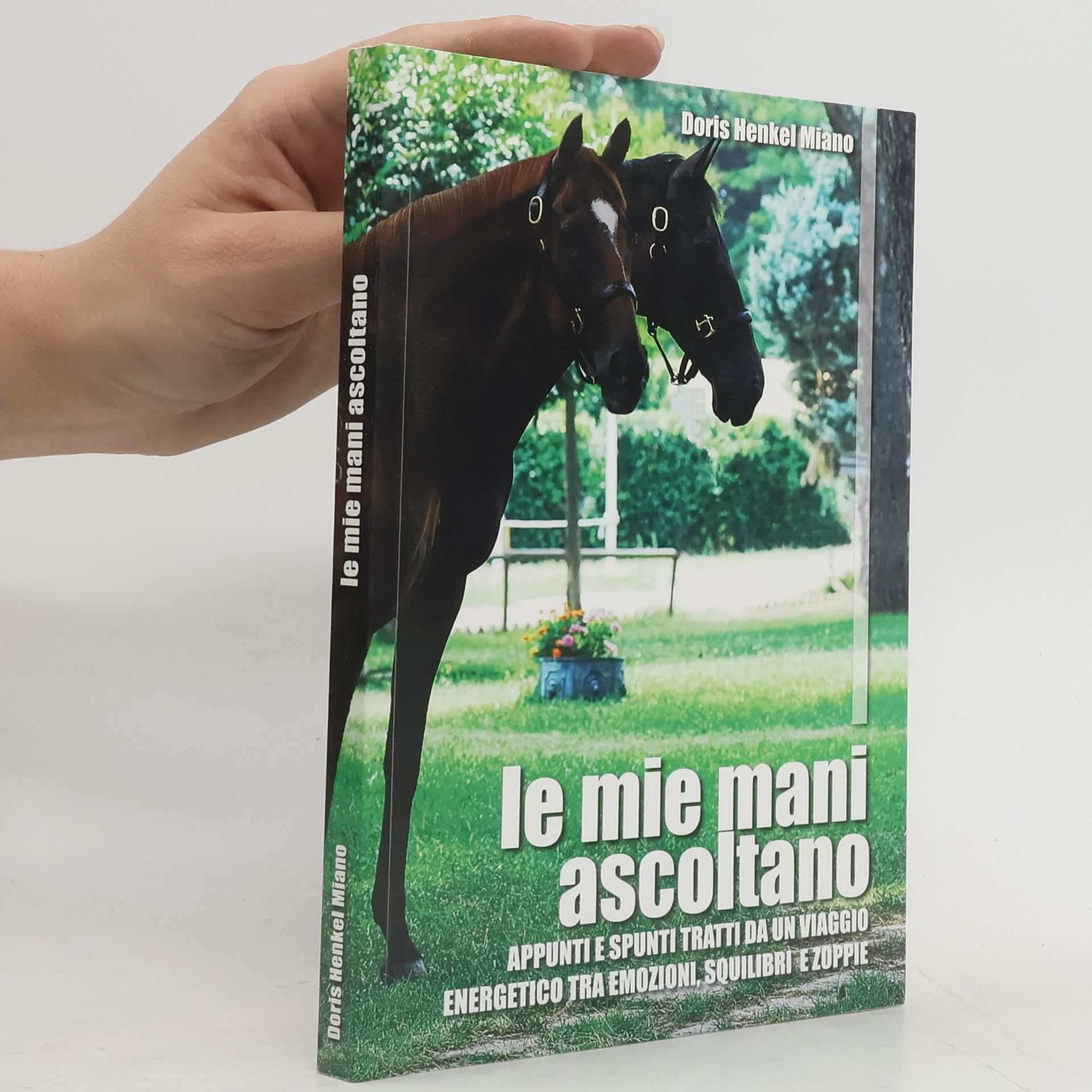 Doris Henkel Miano Le mie mani ascoltano