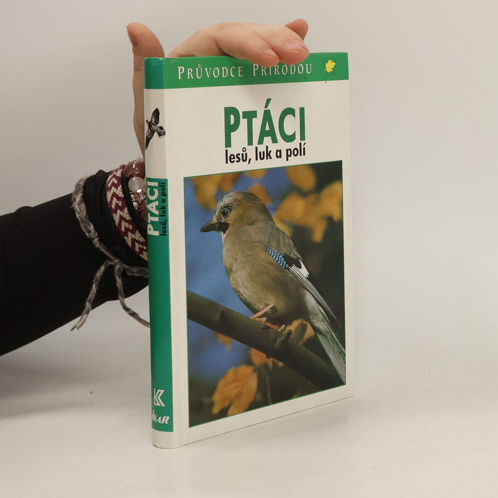 Frieder Sauer Ptáci lesů, luk a polí