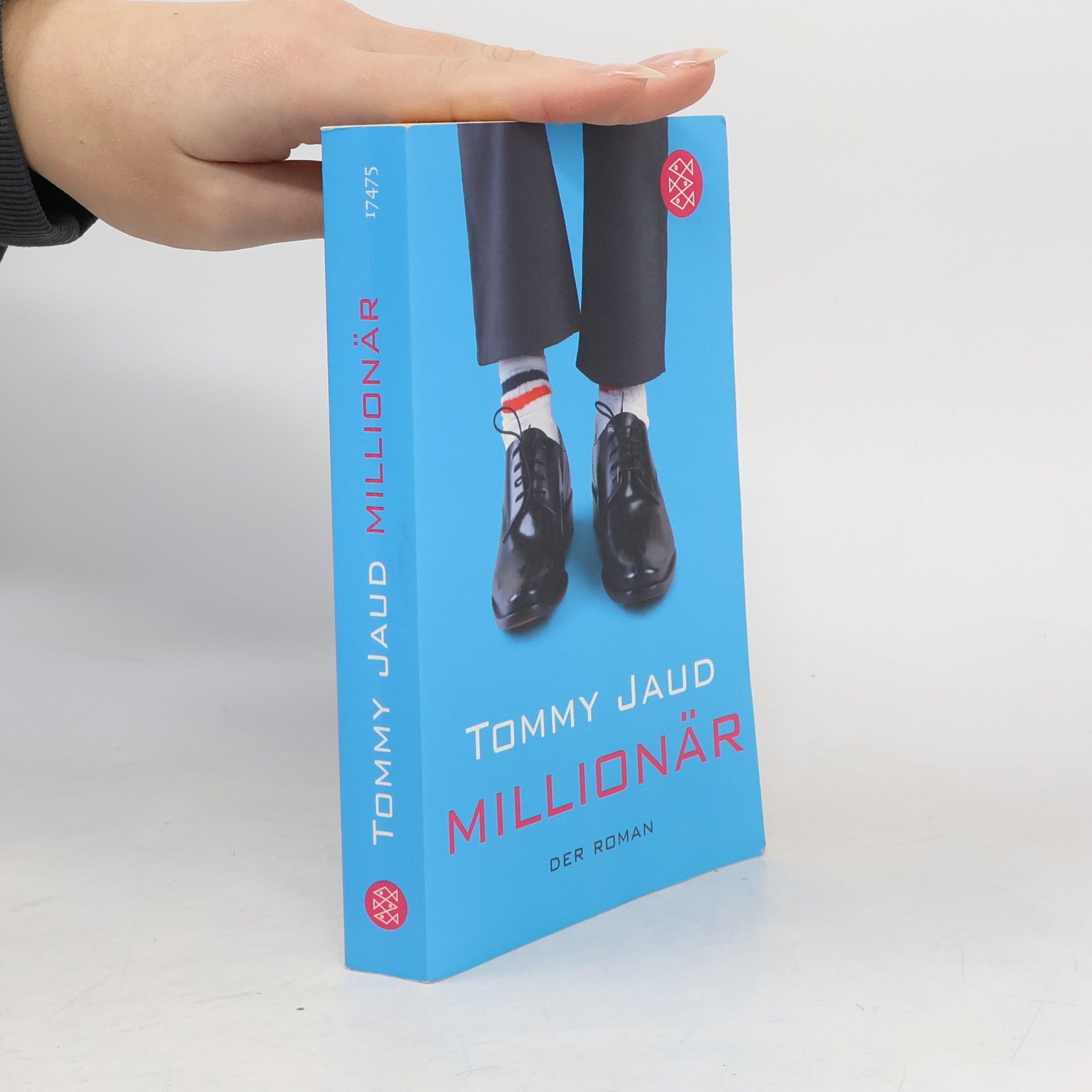 Tommy Jaud Millionär