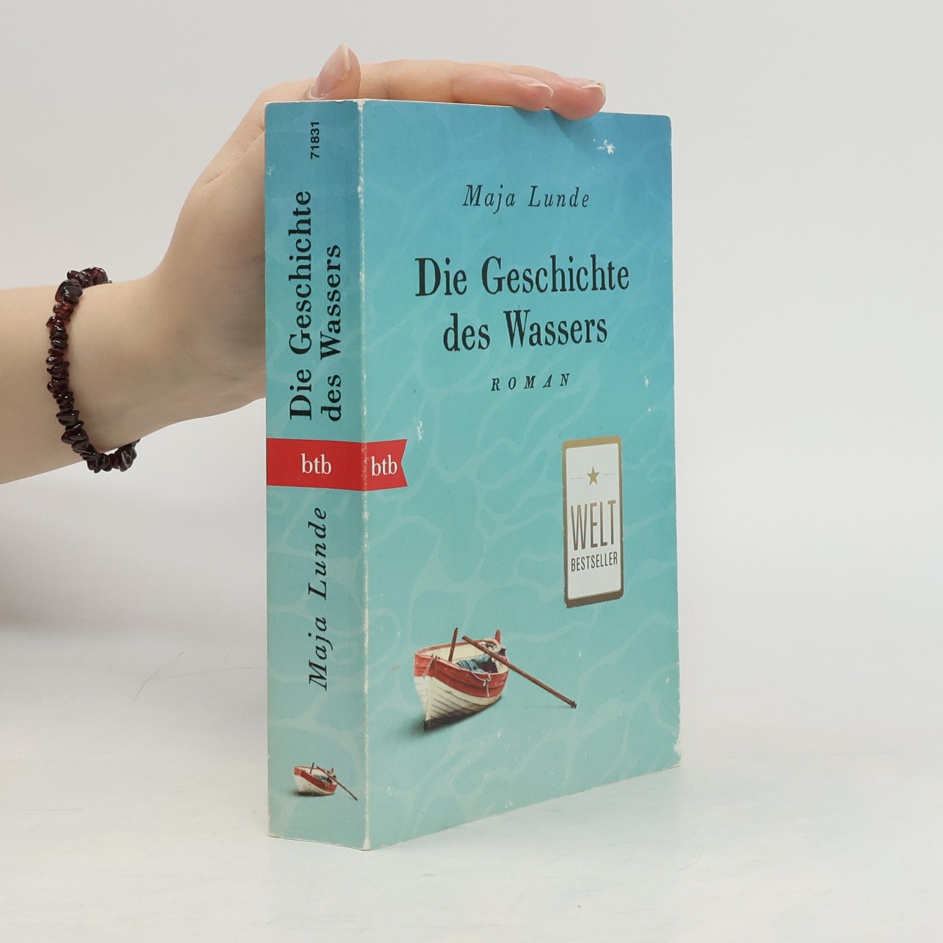 Die Geschichte des Wassers : Roman