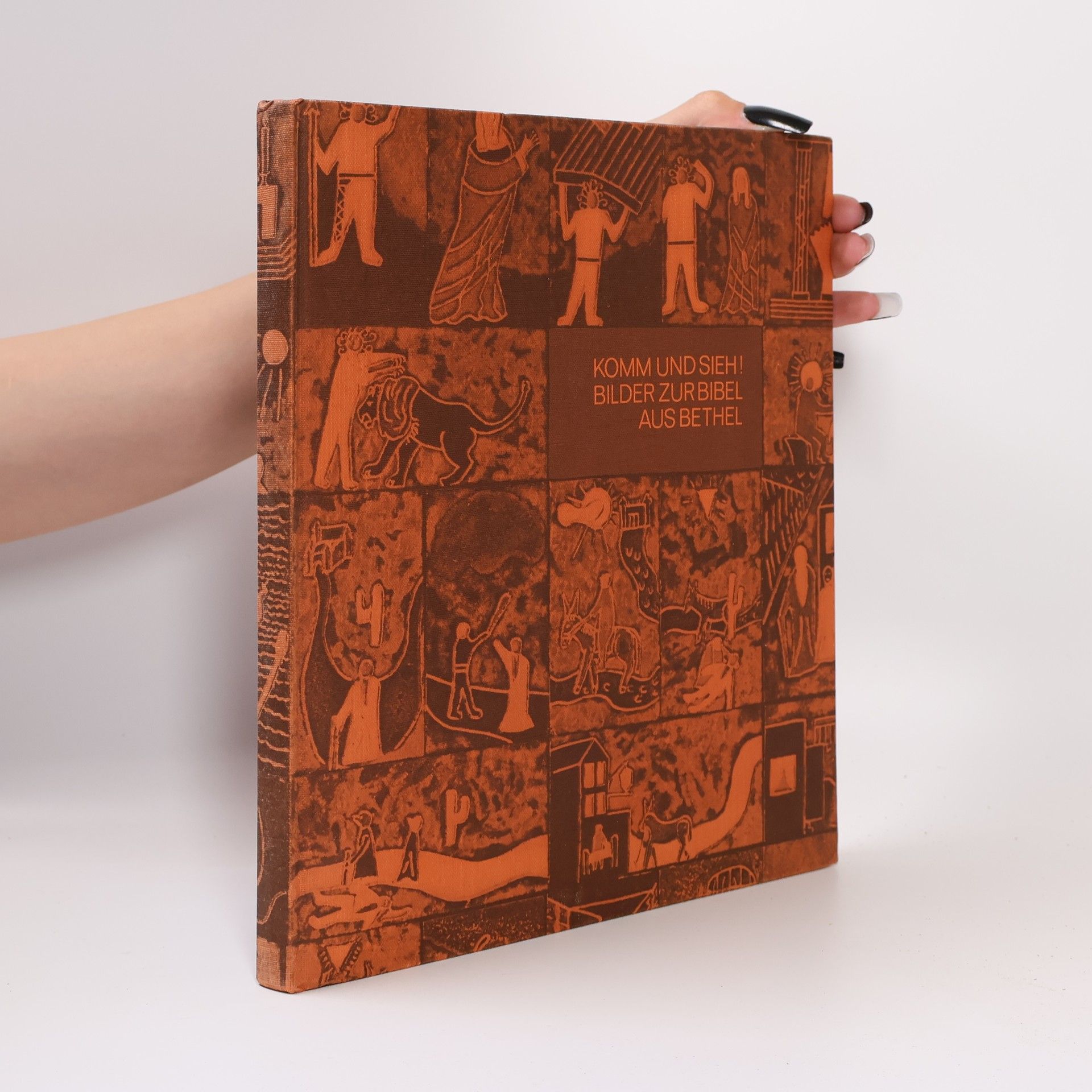 Collectif d'auteurs Komm und sieh! Bilder zur Bibel aus Bethel
