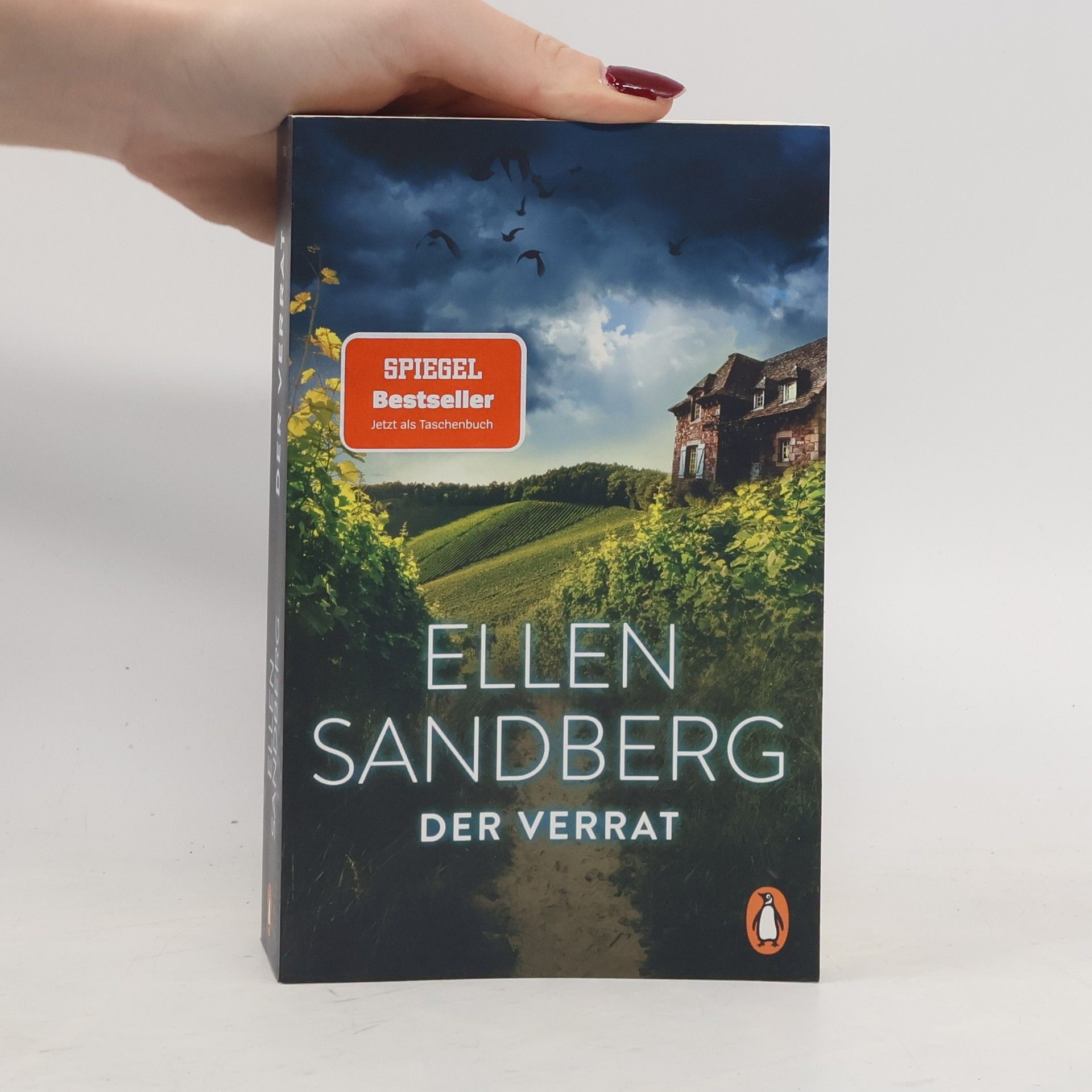Ellen Sandberg Der Verrat