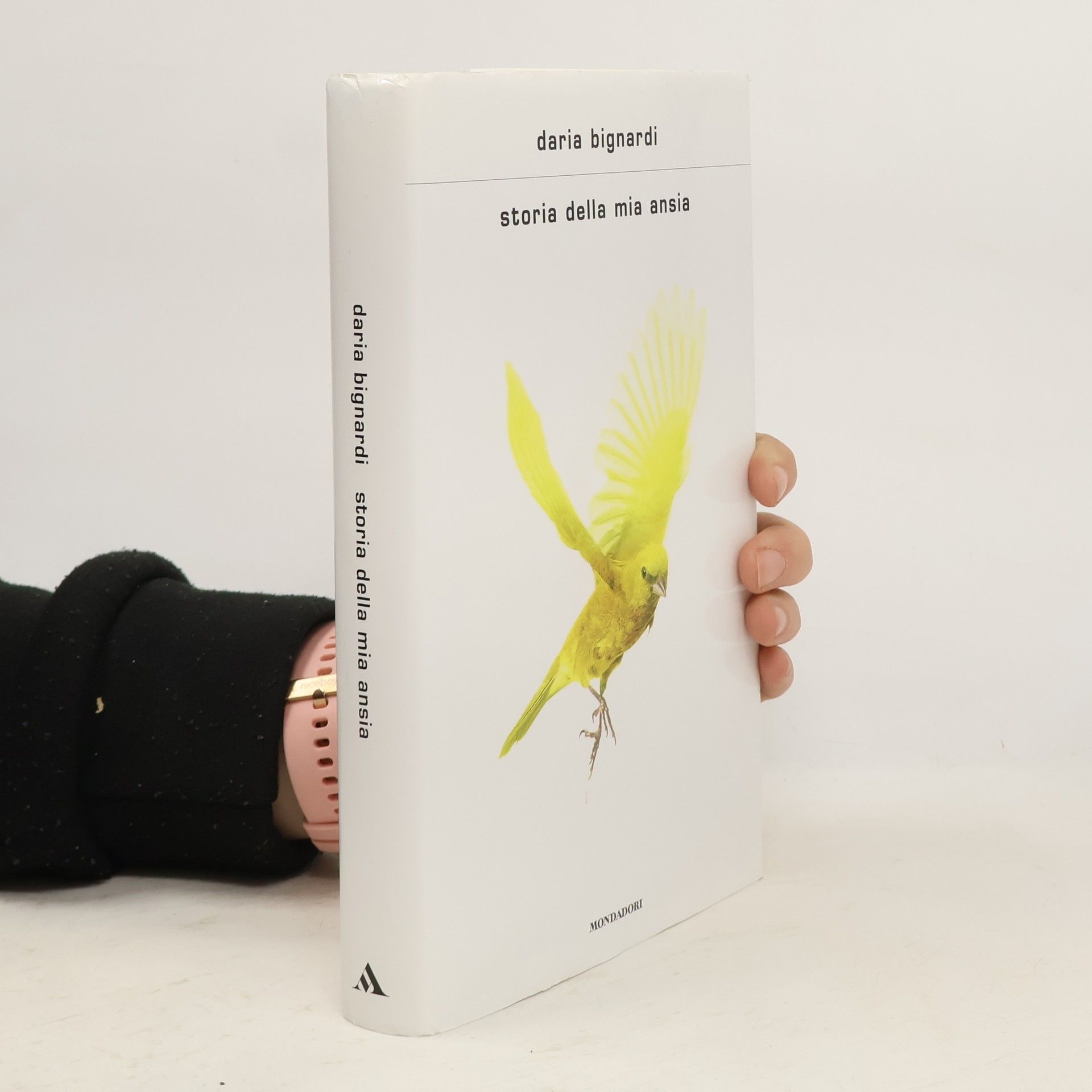 Storia della mia ansia