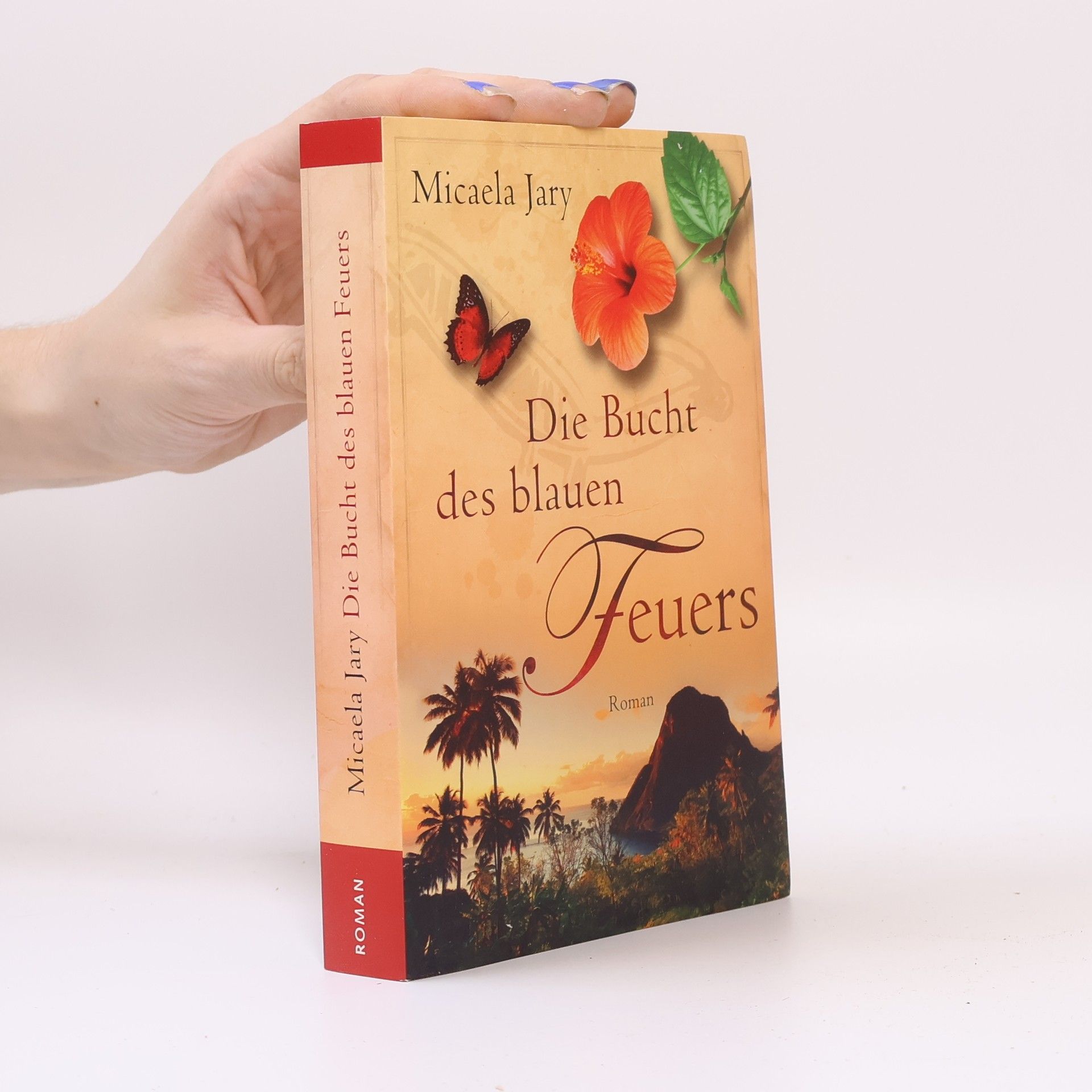 Micaela Jary Die Bucht des blauen Feuers