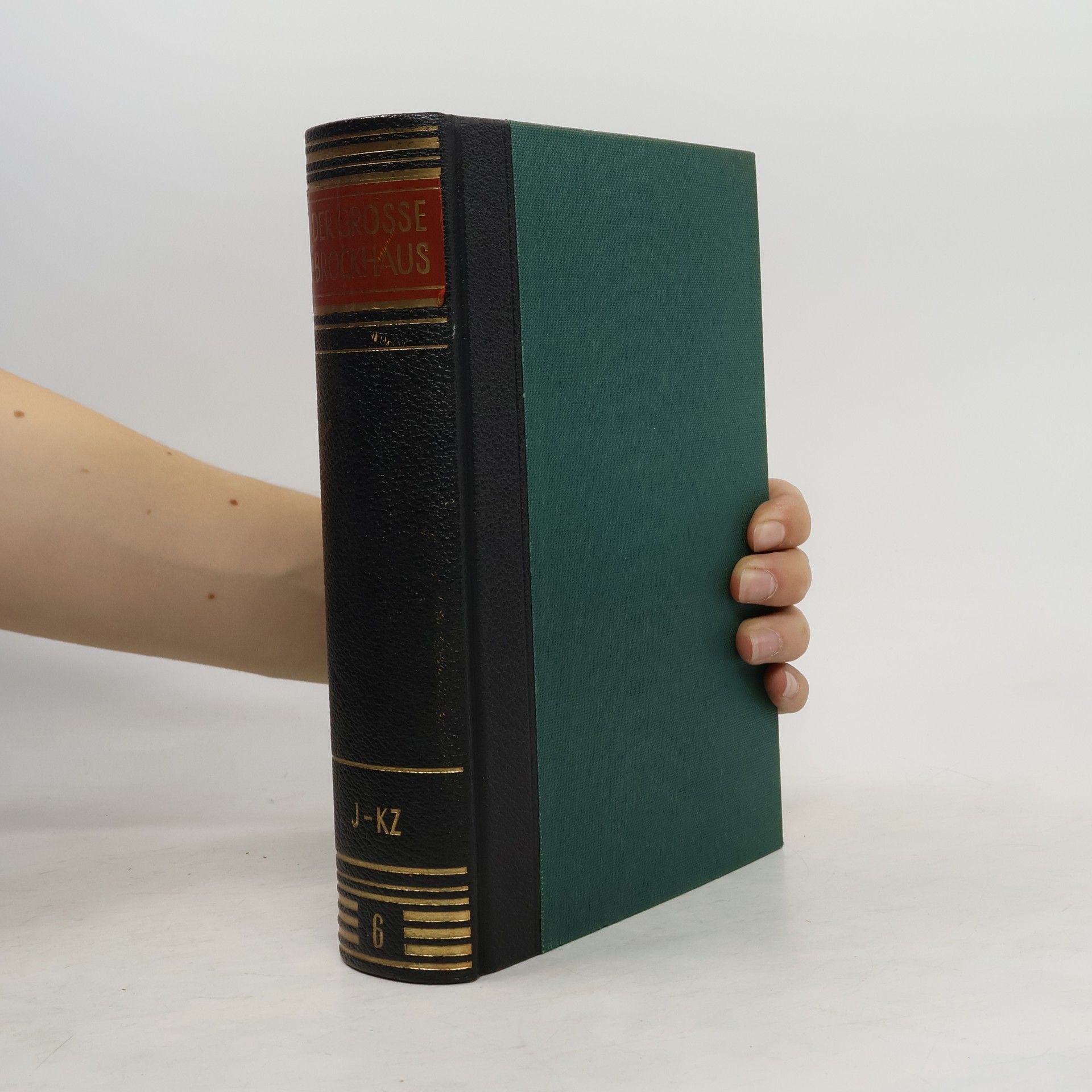 Autorenkollektiv Der grosse Brockhaus 6. J-Kz