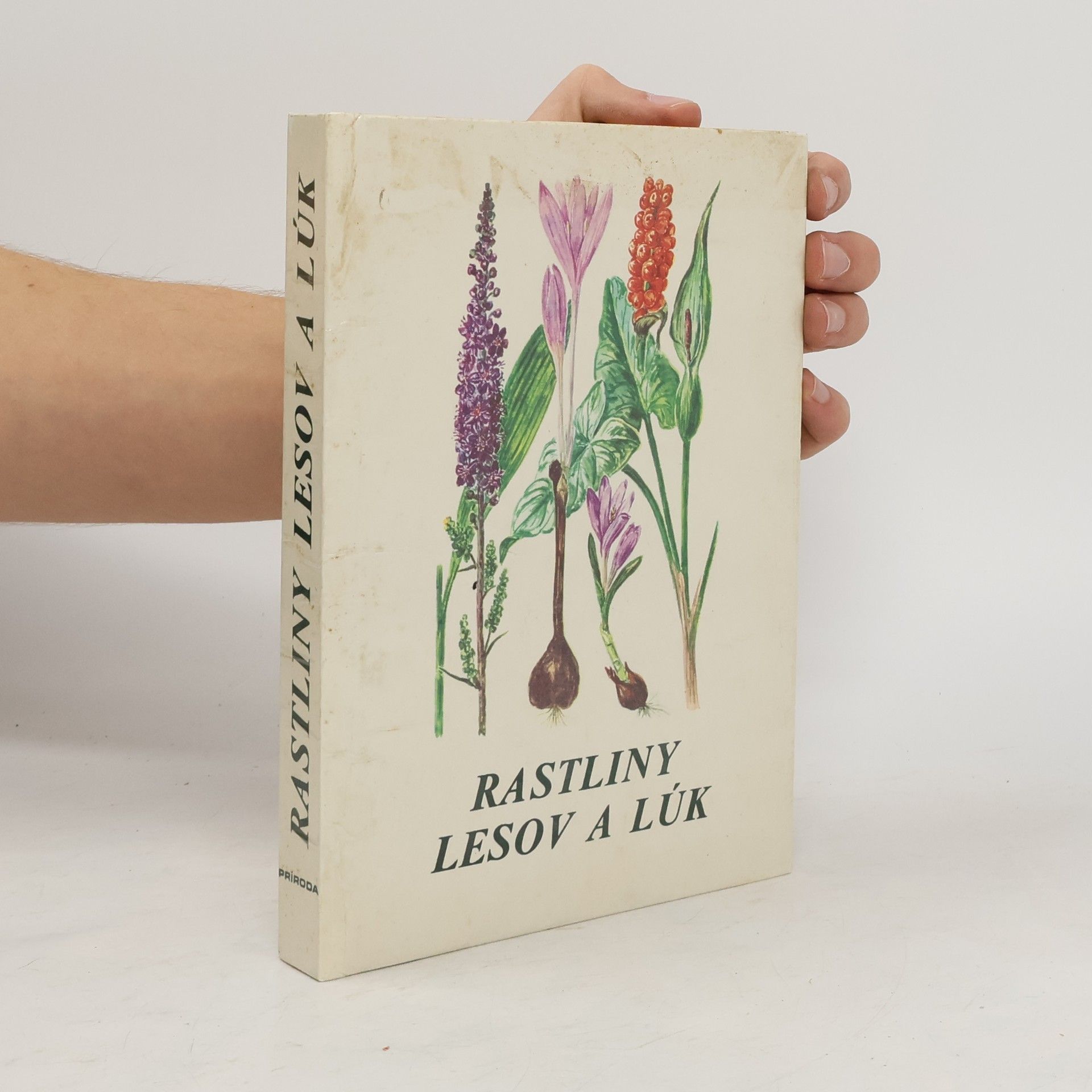 Collectif d'auteurs Rastliny lesov a lúk