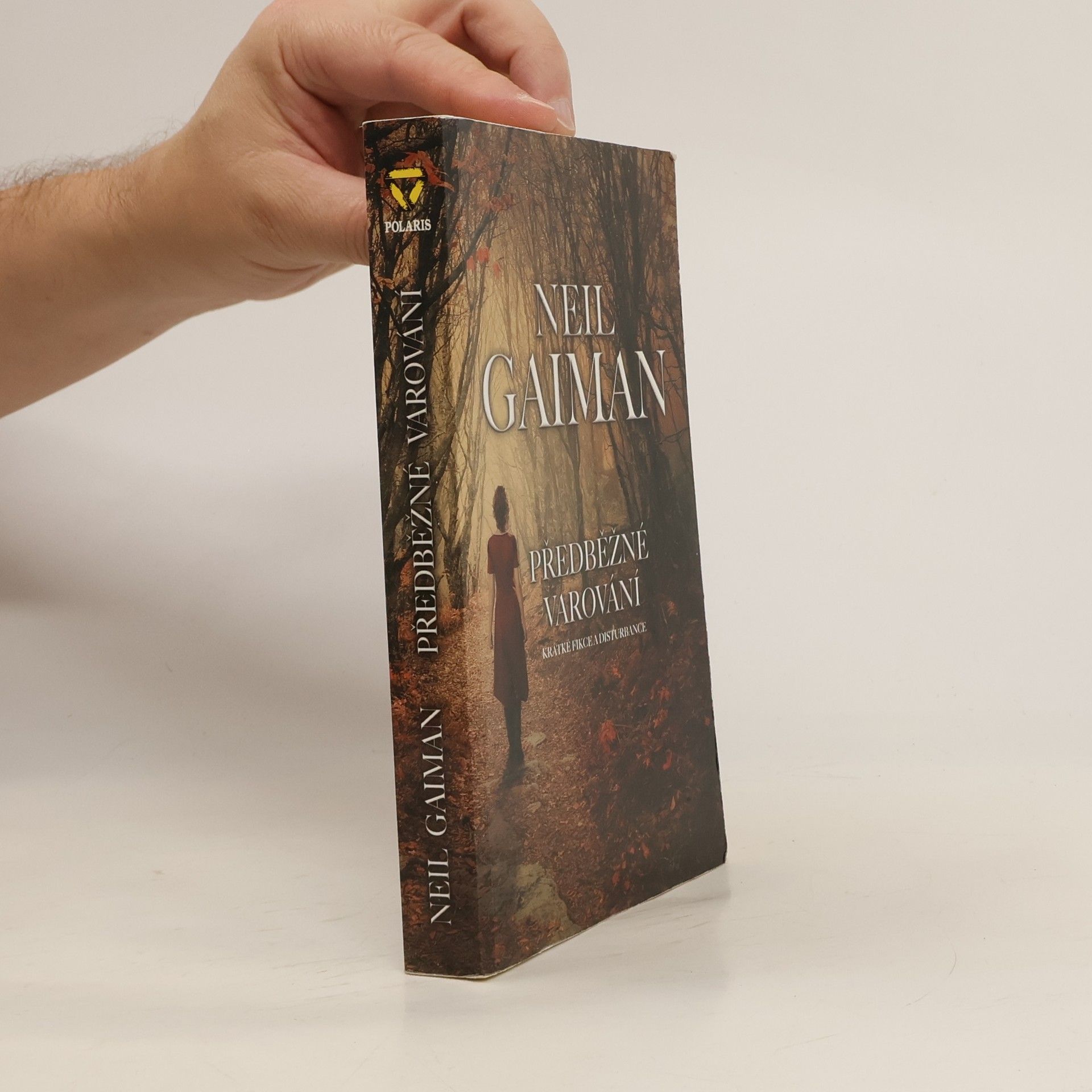 Předběžné varování : krátké fikce a turbulence