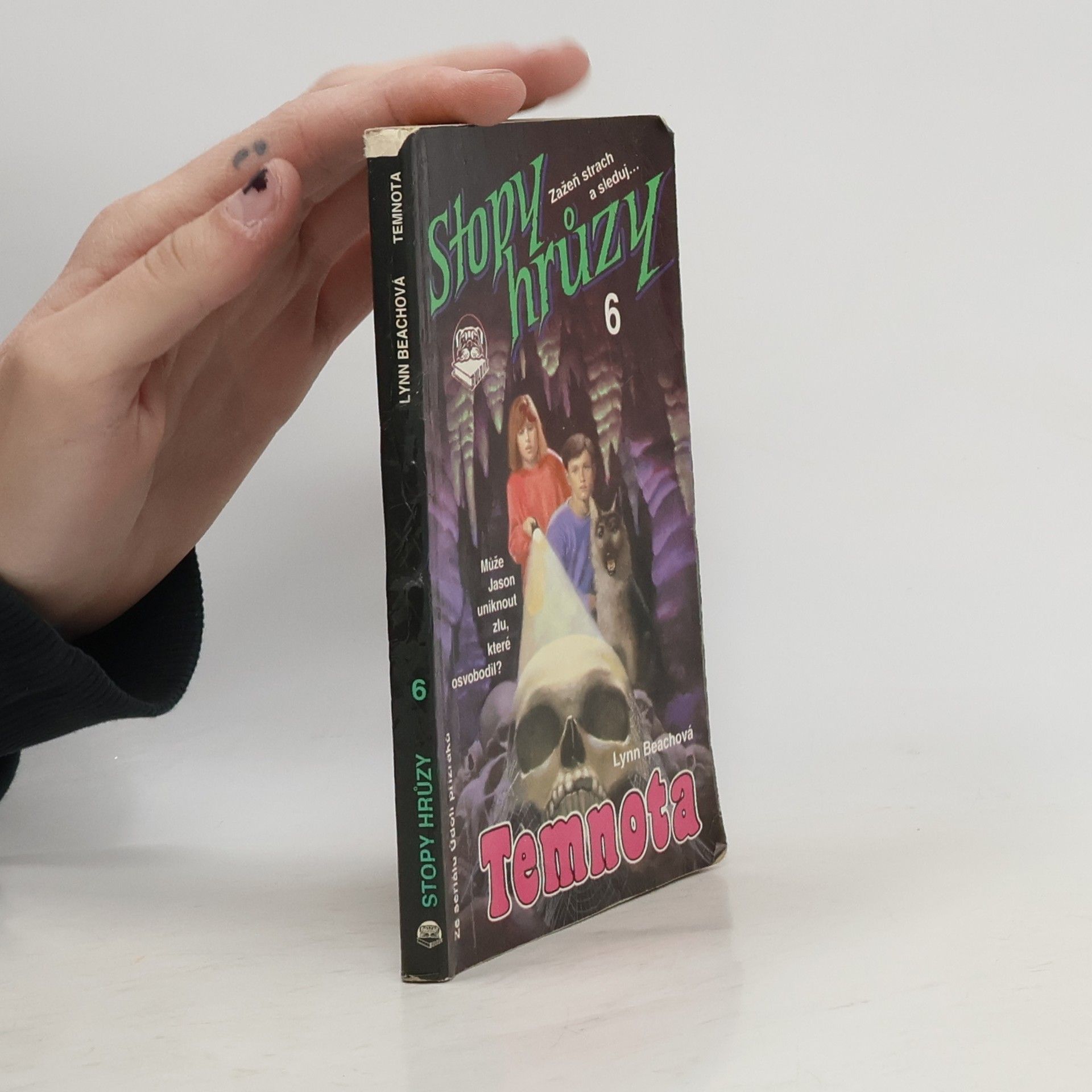 Lynn Beach Temnota. Stopy hrůzy 6.