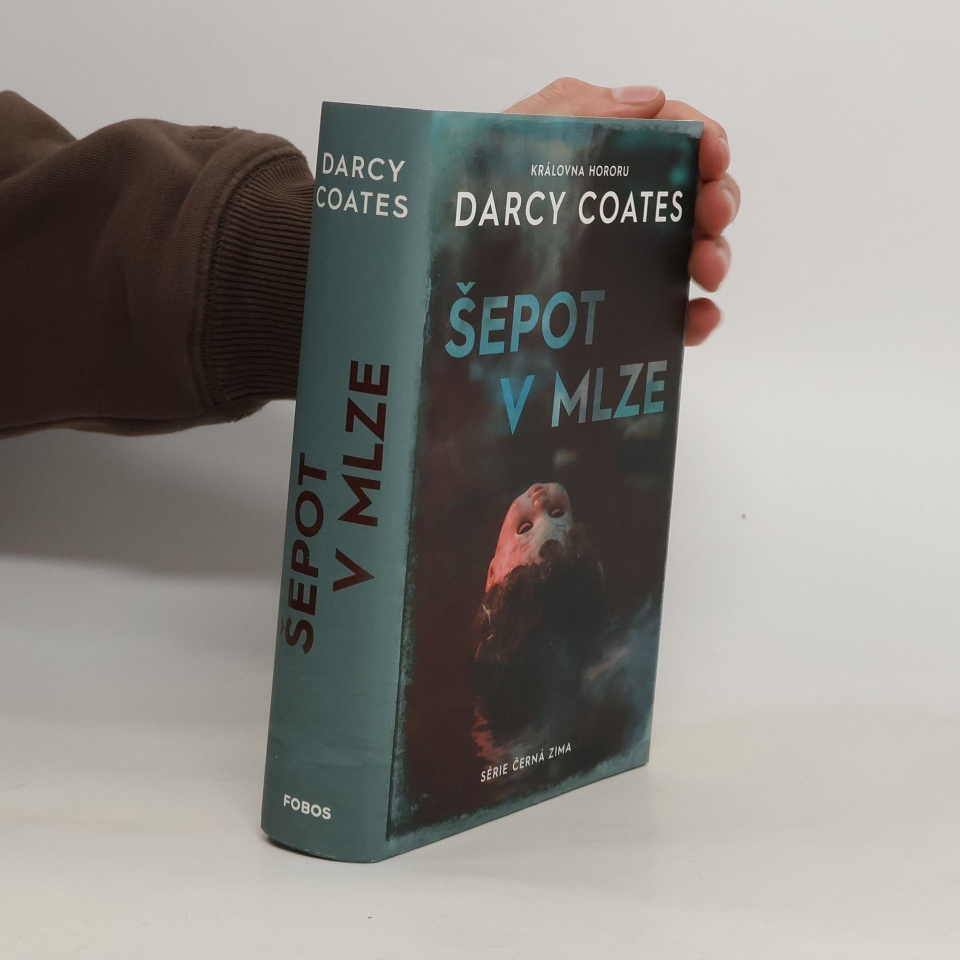 Darcy Coates Šepot v mlze