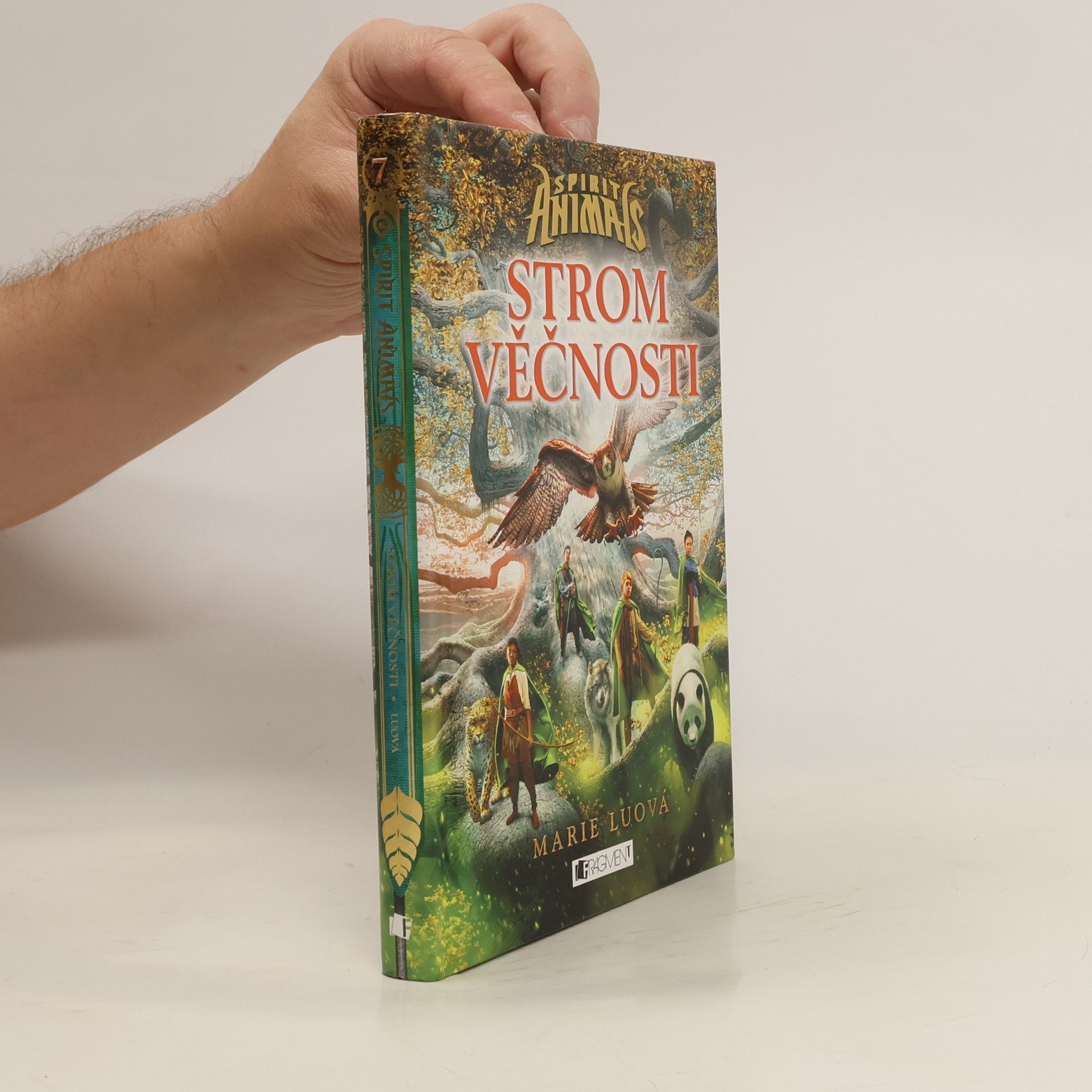 Marie Lu Strom věčnosti