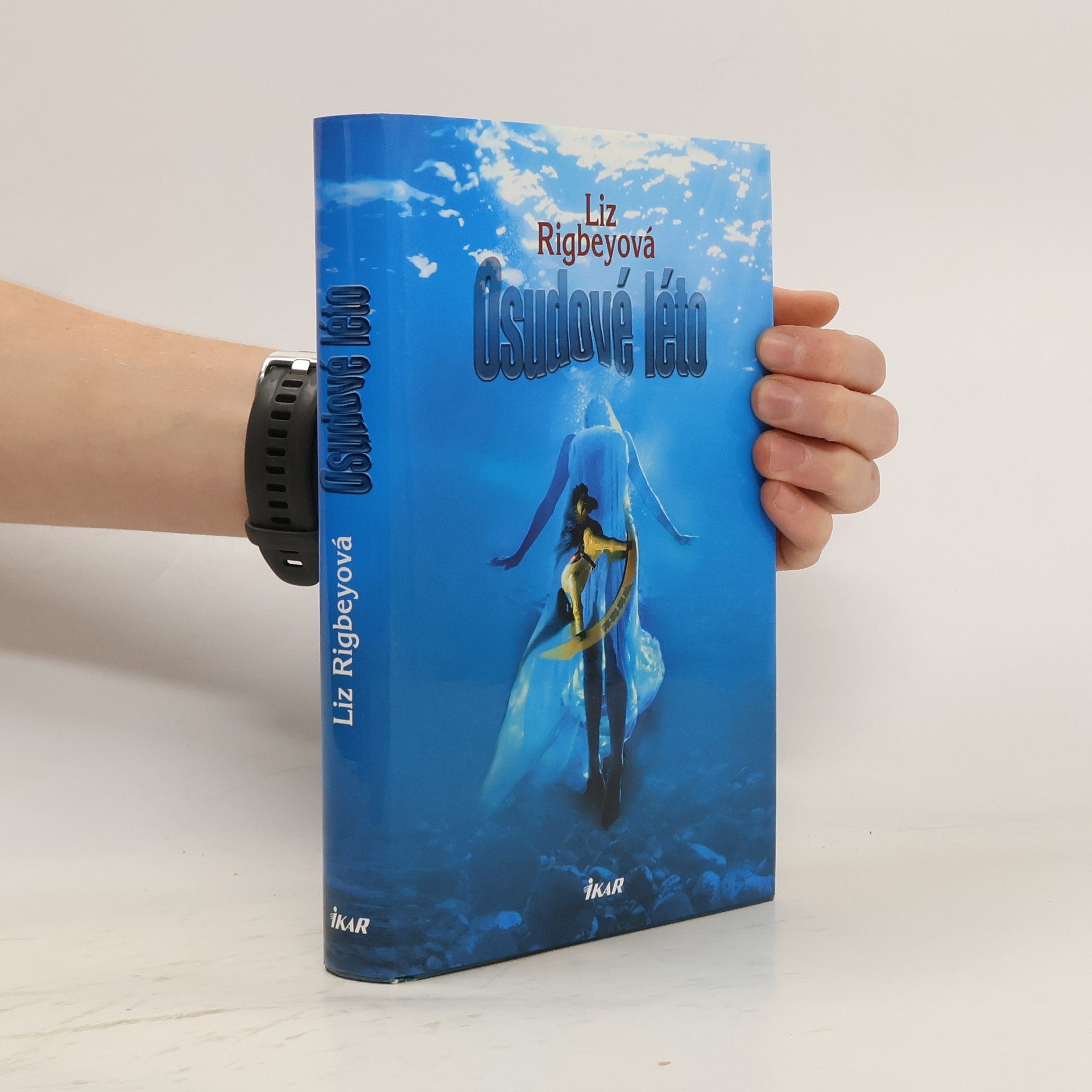 Liz Rigbey Osudové léto