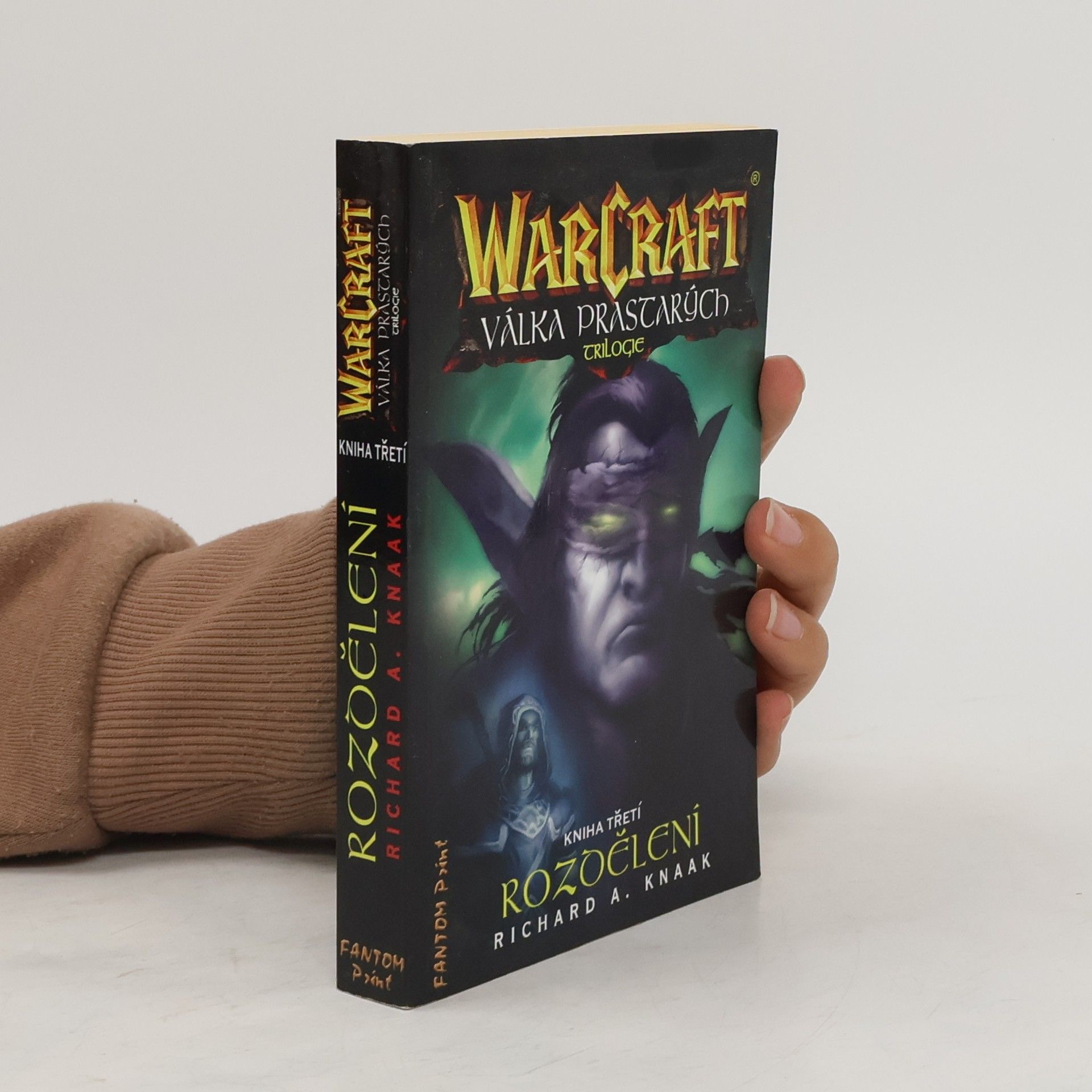 Richard A. Knaak WarCraft. Válka Prastarých 3. Rozdělení