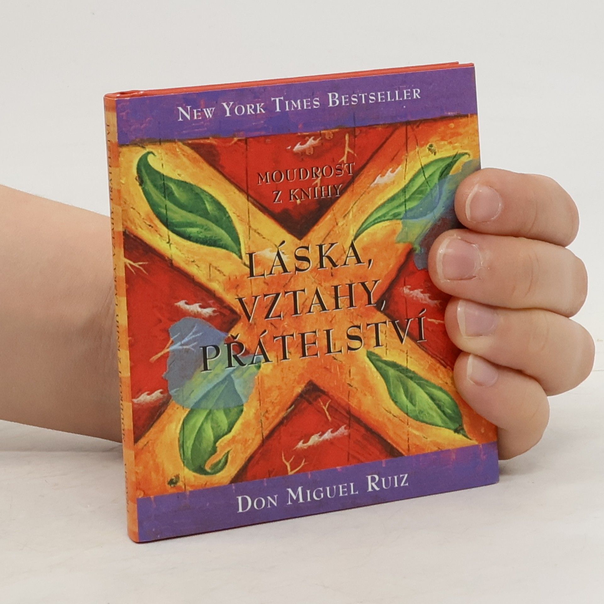 Don Miguel Ruiz Moudrost z knihy Láska, vztahy, přátelství