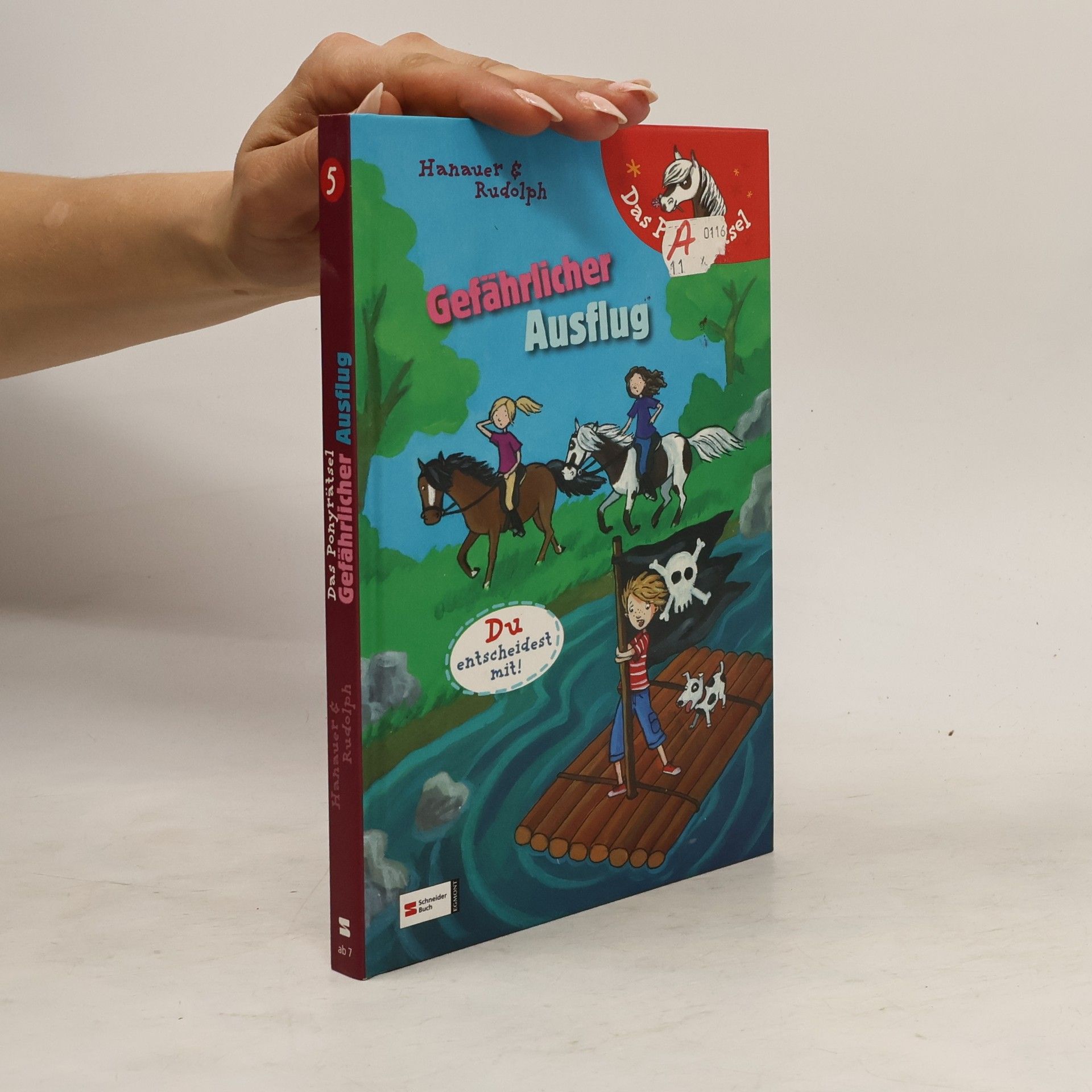 Michaela Hanauer Das Ponyrätsel 5. Gefährlicher Ausflug