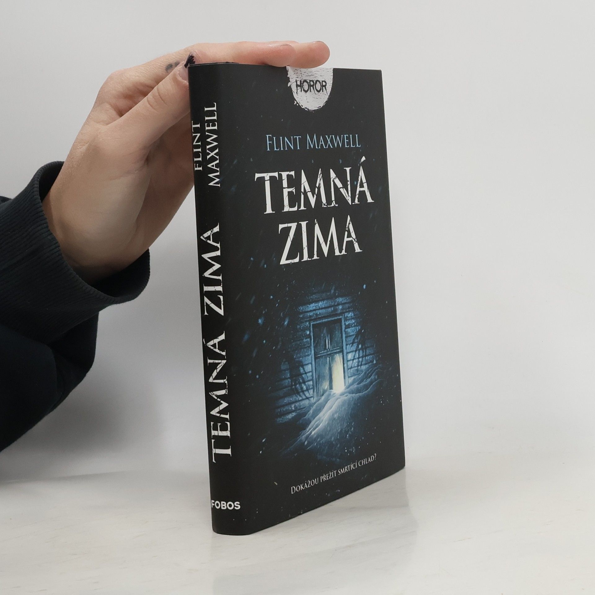 Flint Maxwell Temná zima