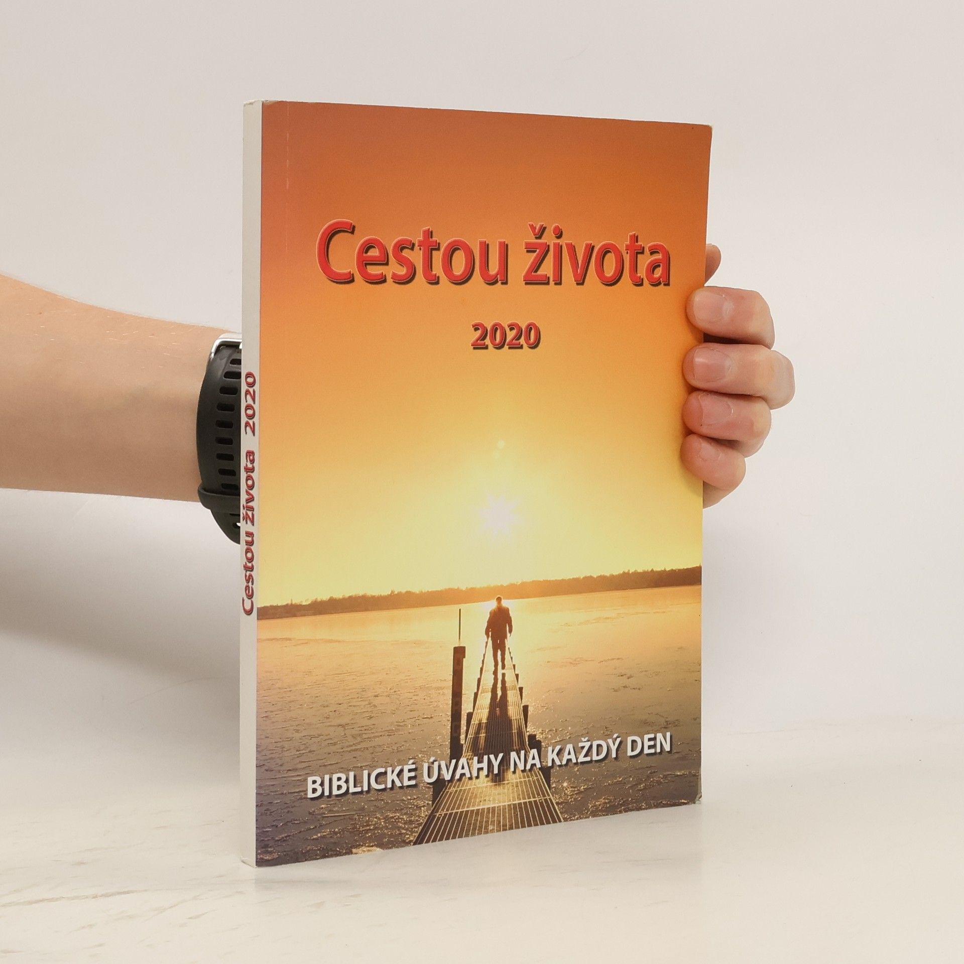 Kolektiv autorů Cestou života 2020