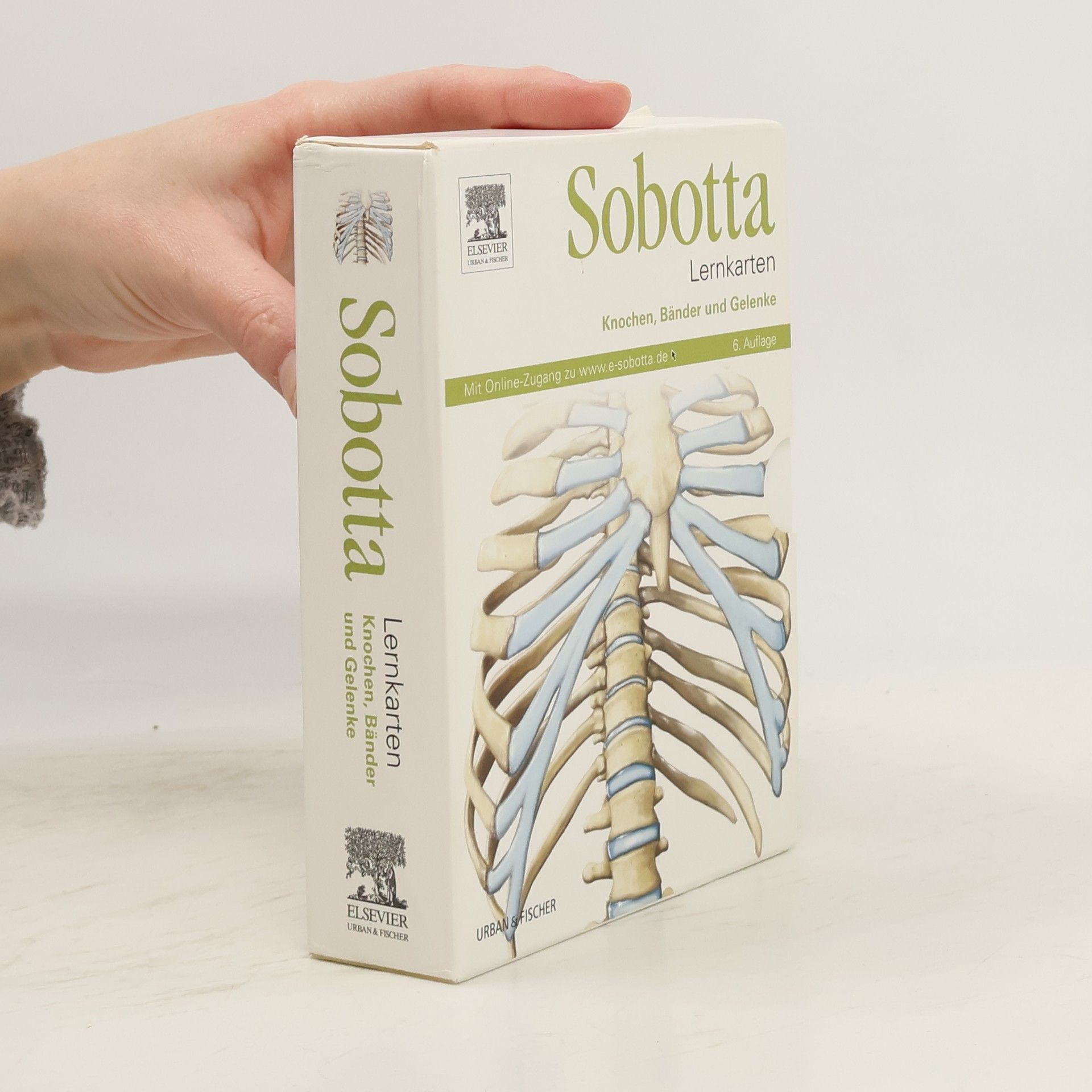 Collectif d'auteurs Sobotta - Lernkarten