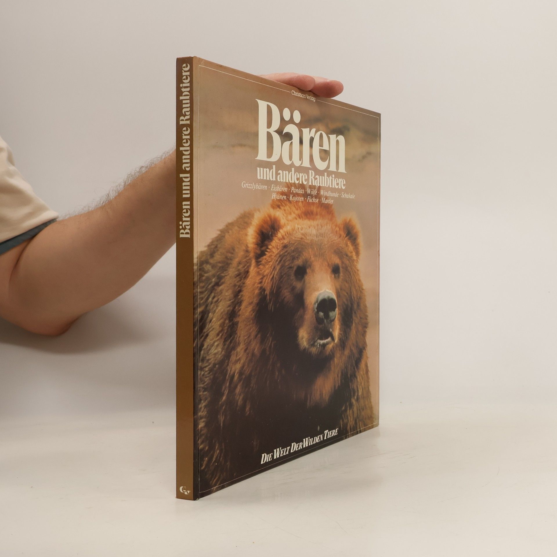 Bären und andere Raubtiere