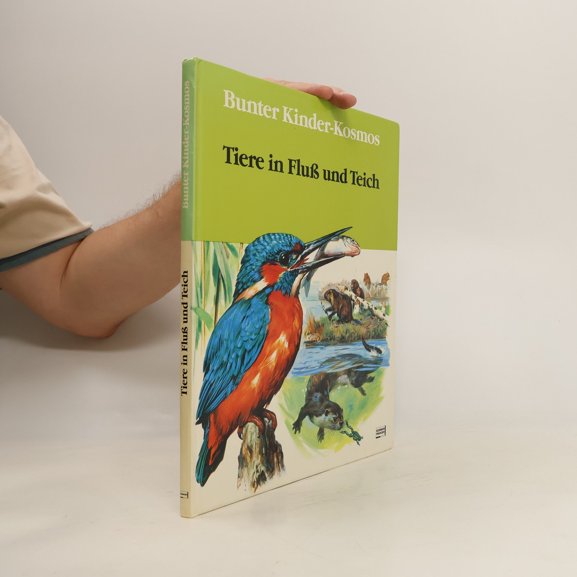 Rinaldo D. D'Ami Bunter Kinder-Kosmos: Tiere in Fluss und Teich