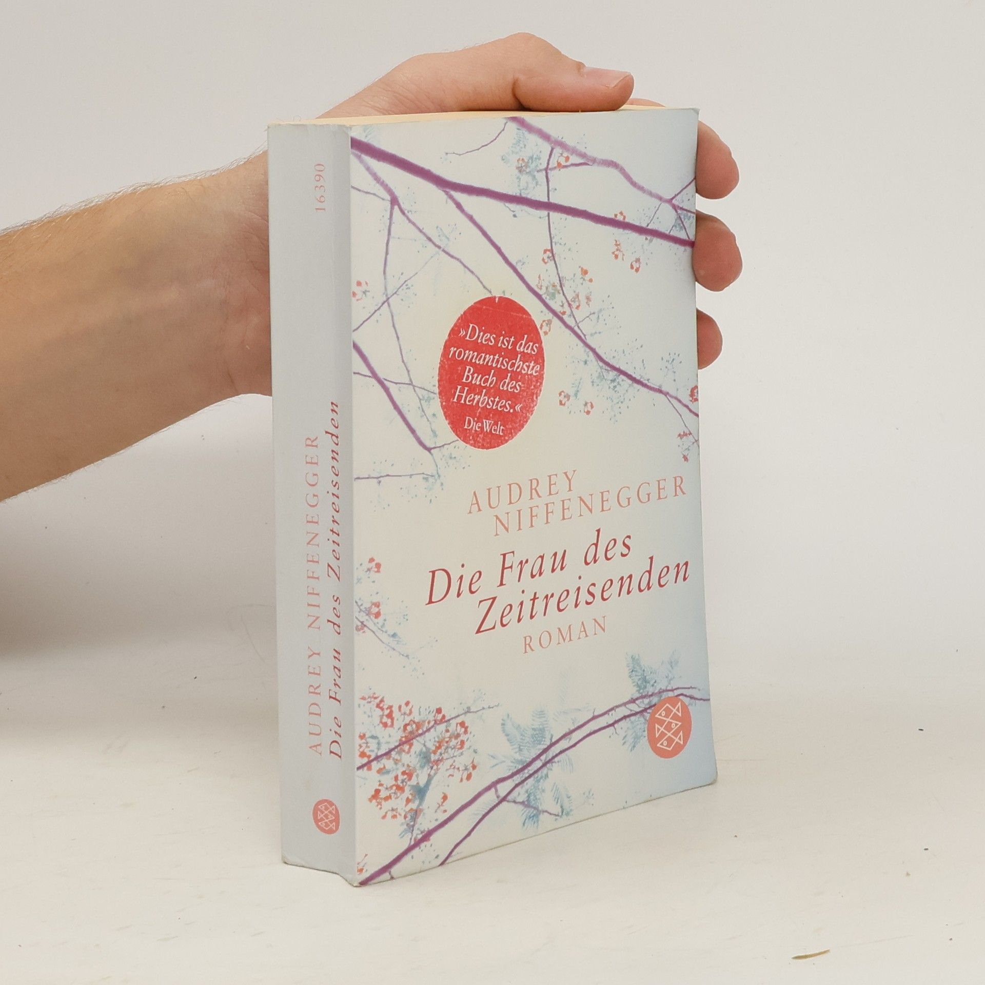 Audrey Niffenegger Die Frau des Zeitreisenden