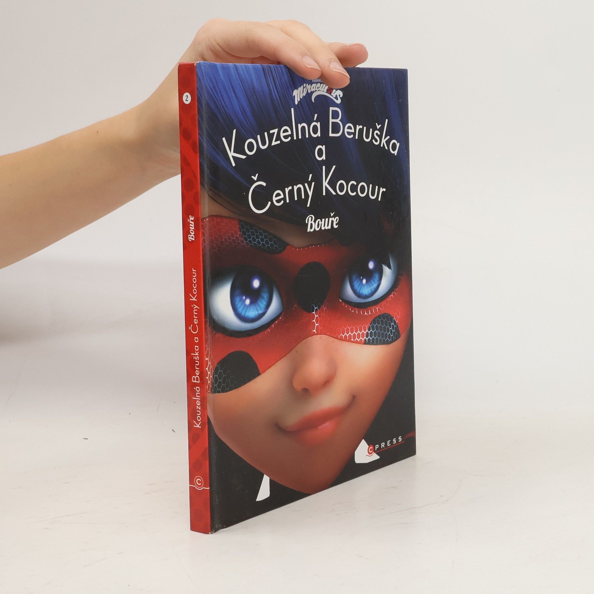 Kateřina Hošková Kouzelná Beruška a Černý Kocour. Bouře