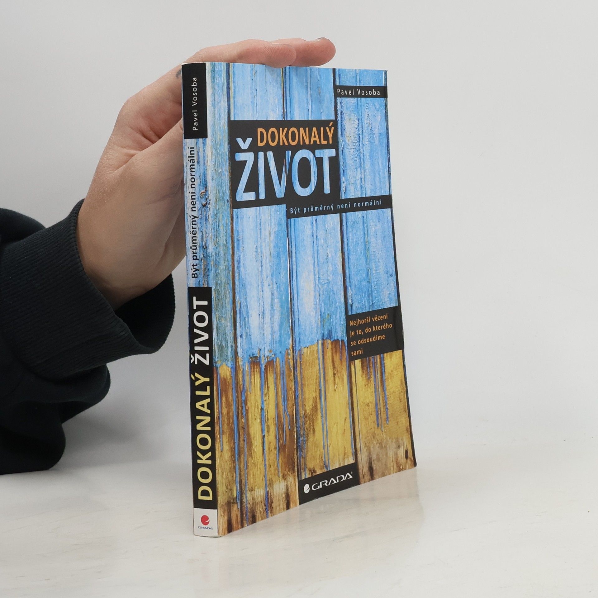 Dokonalý život : být průměrný není normální