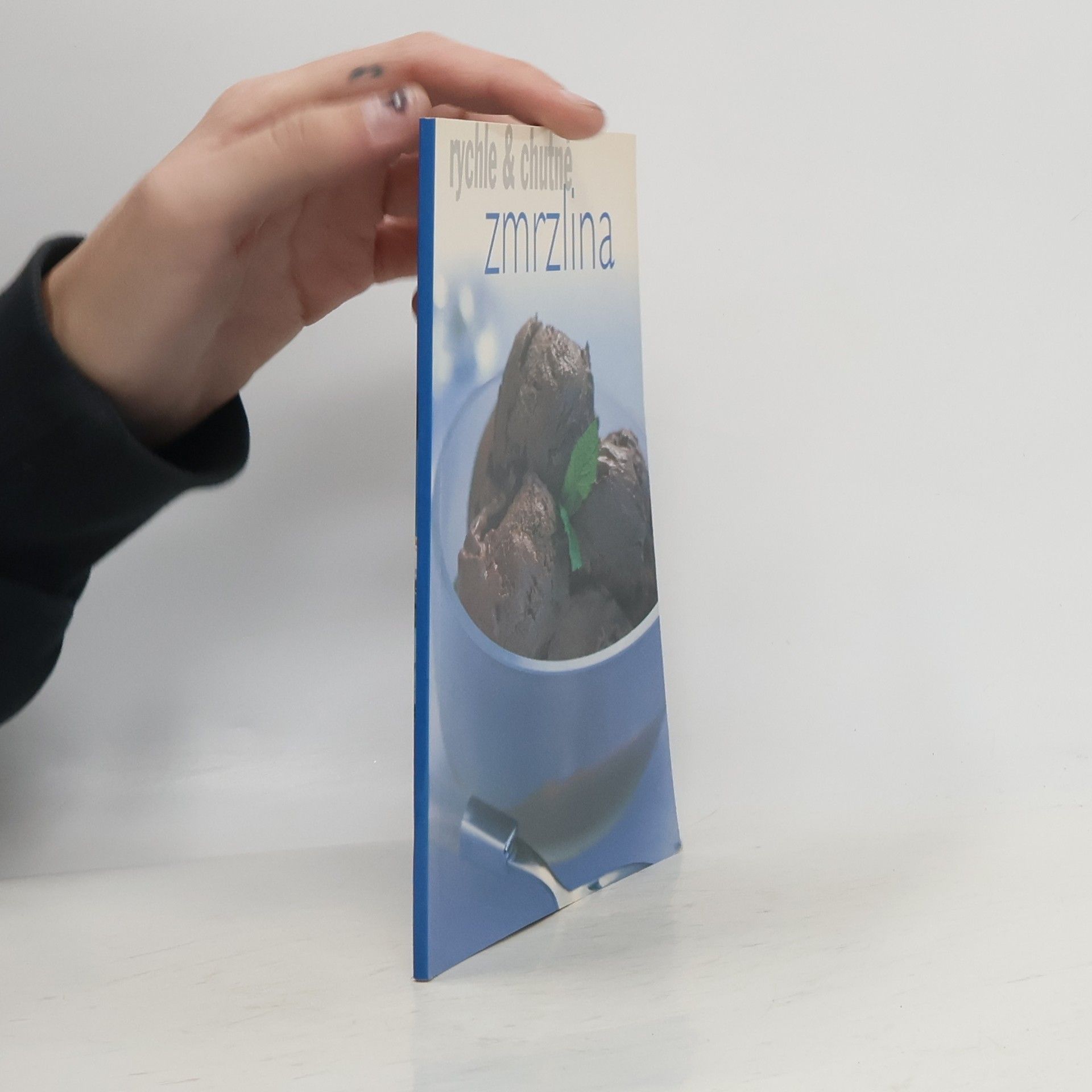 Kolektív autorov Rychle & chutně : zmrzlina