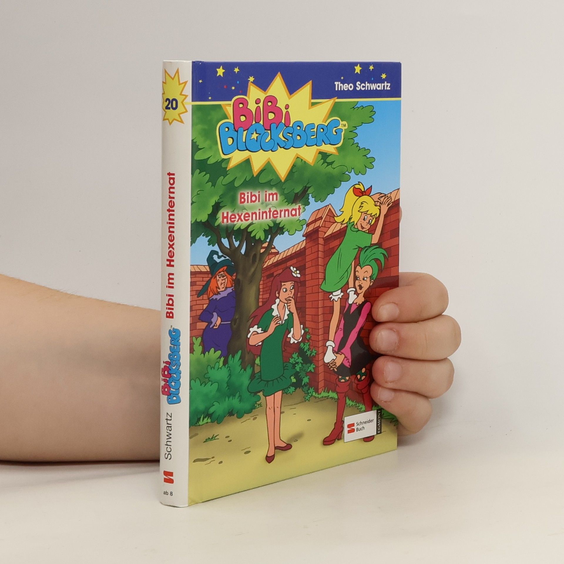 Bibi Blocksberg 20: Bibi im Hexeninternat