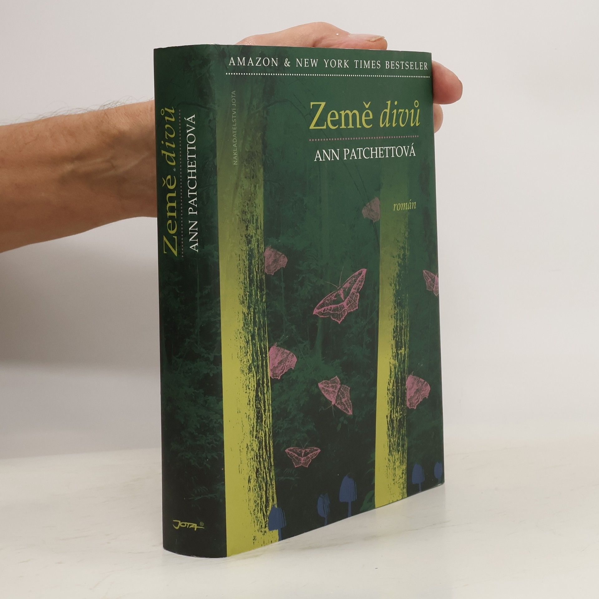 Ann Patchettová Země divů