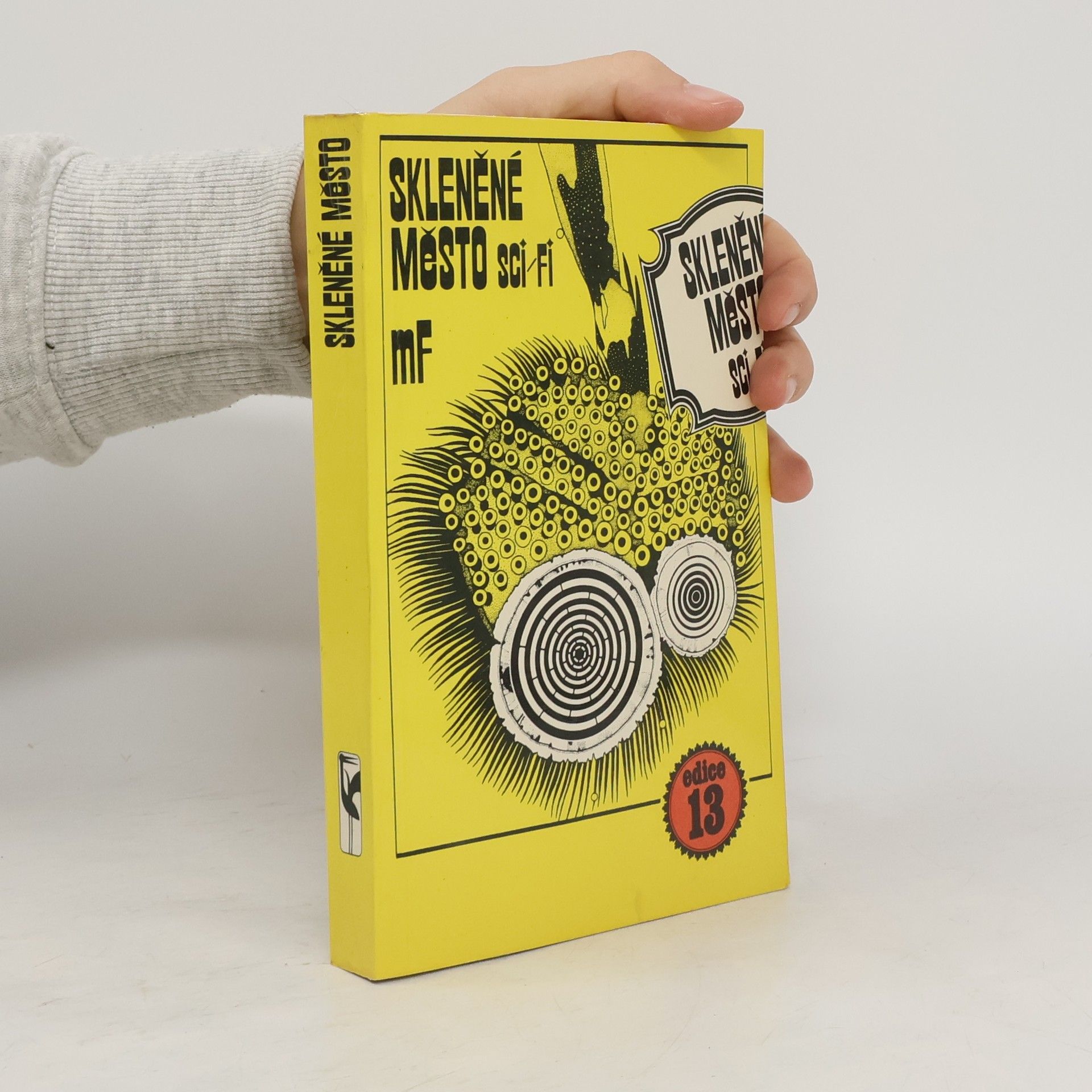 Autorenkollektiv Skleněné město