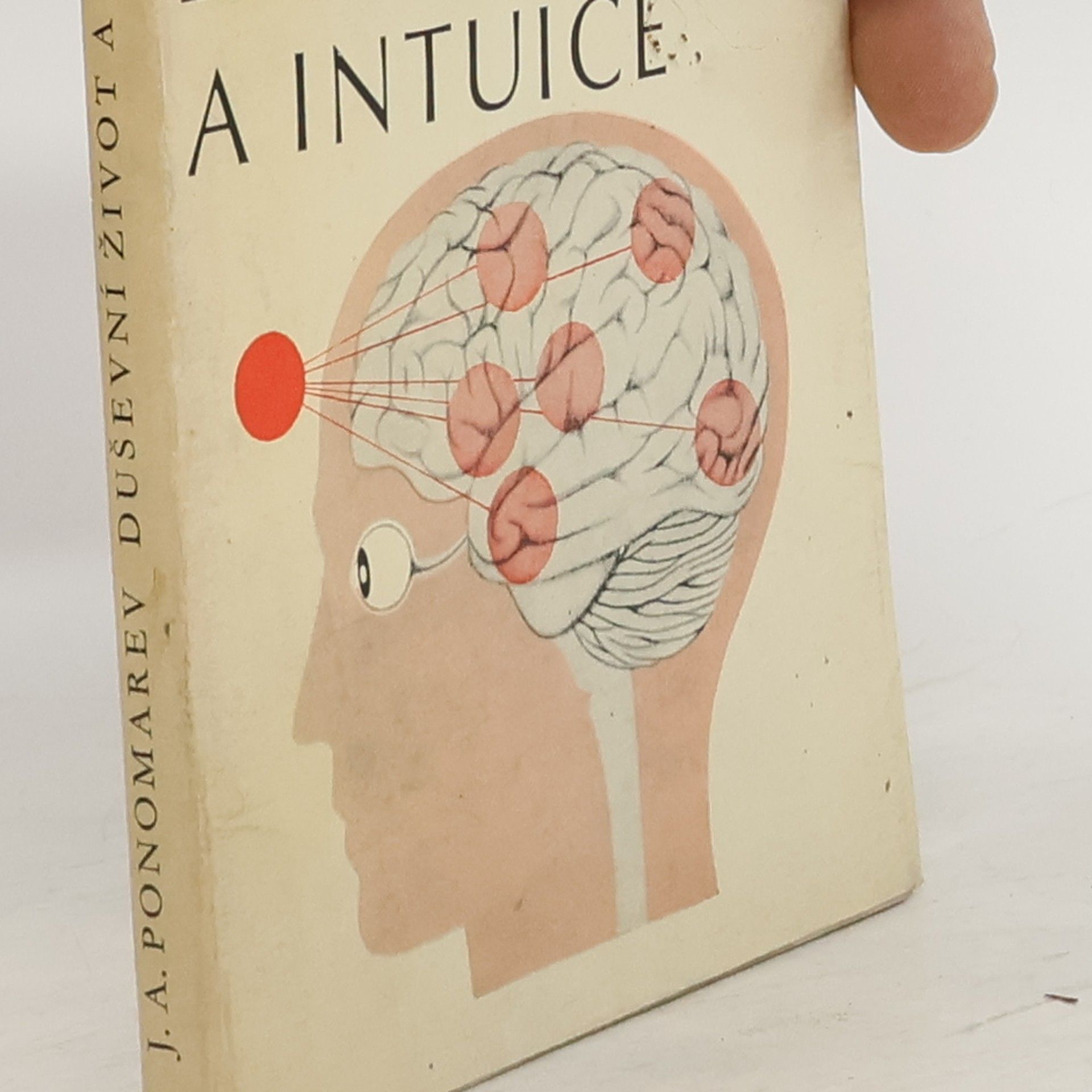 Duševní život a intuice