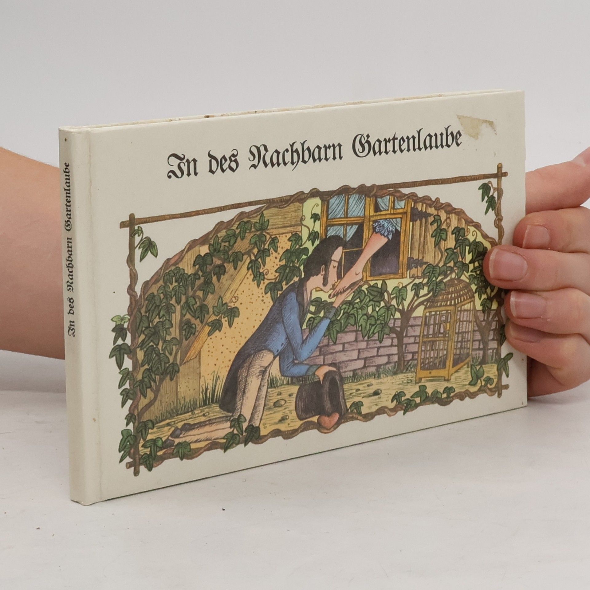 Frank Schneider In des Nachbarn Gartenlaube