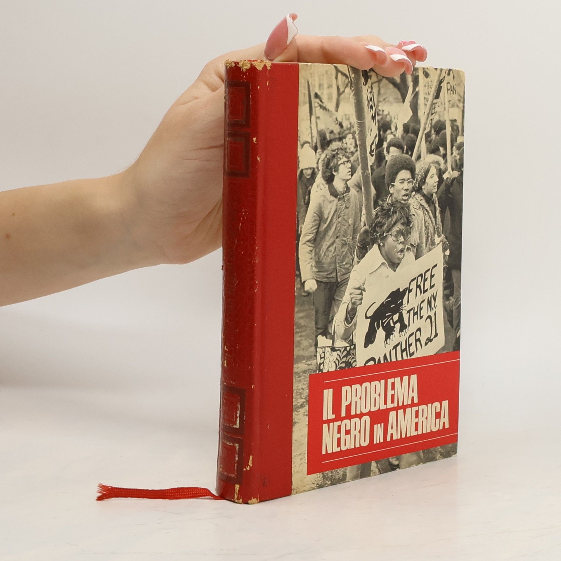 Giulio Ricchezza  Il problema negro in America