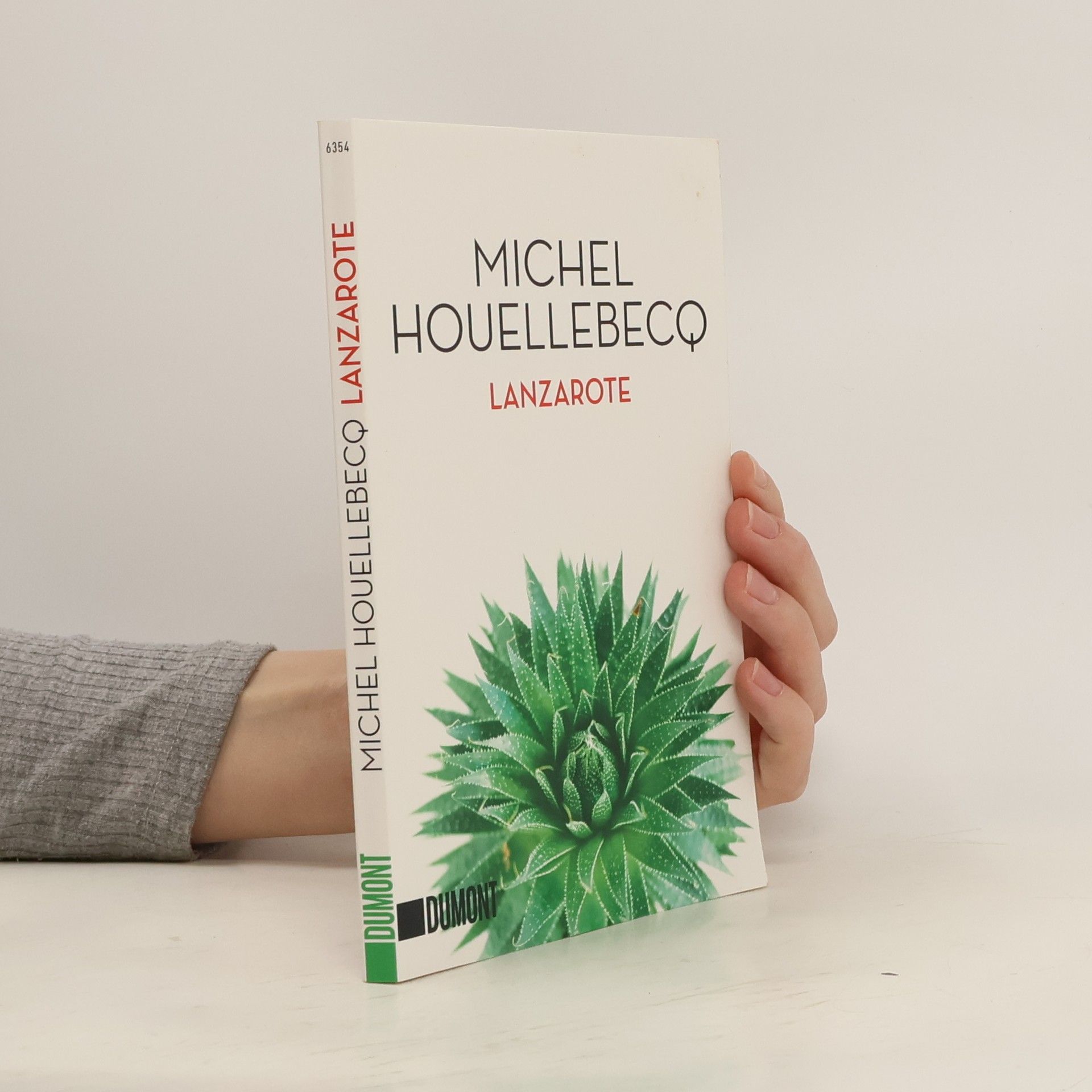 Michel Houellebecq Lanzarote