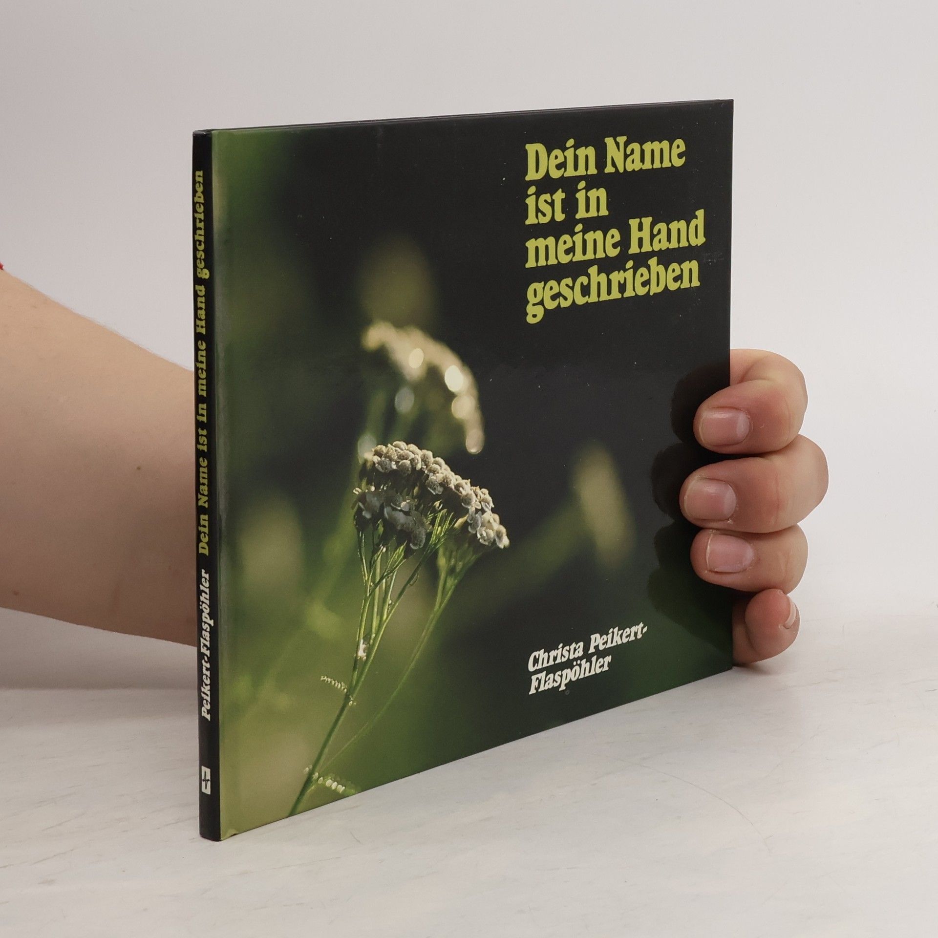 Dein Name ist in meine Hand geschrieben